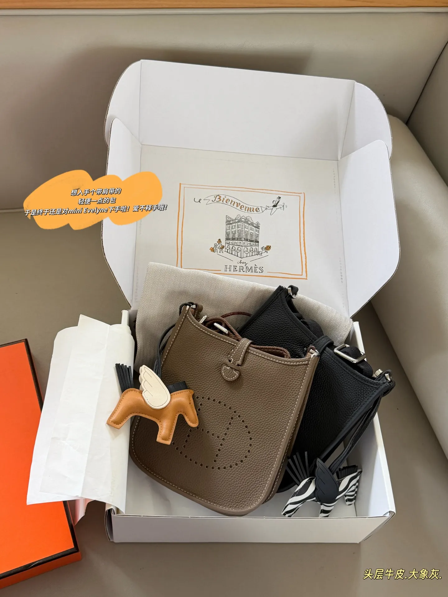 Evelyne Mini Crossbody Bag D31017998 — view 10