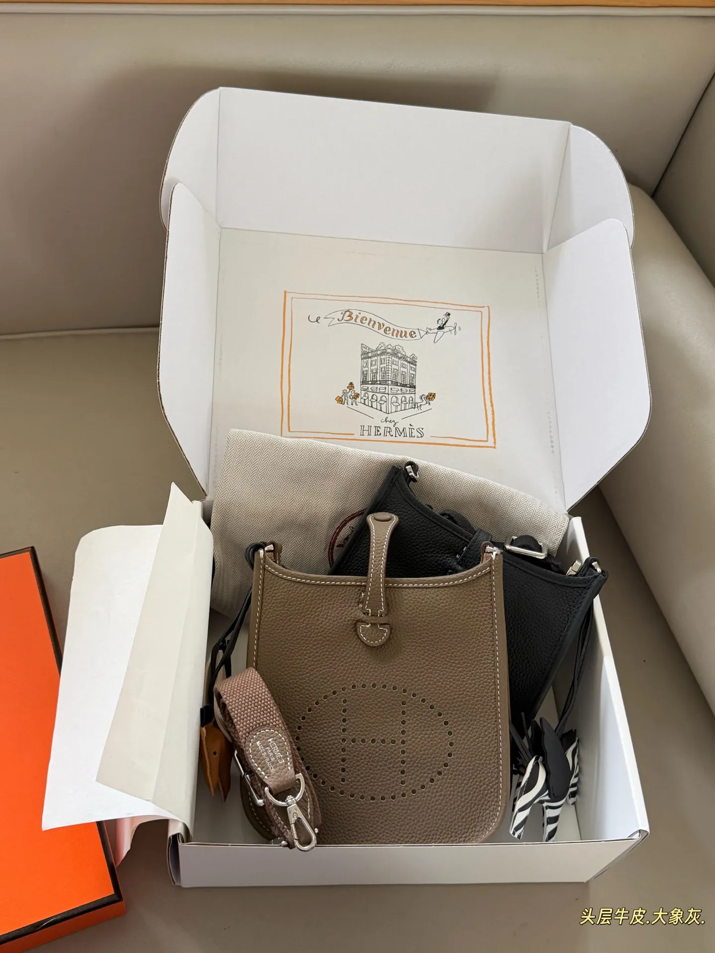 Evelyne Mini Crossbody Bag D31017998 — view 11