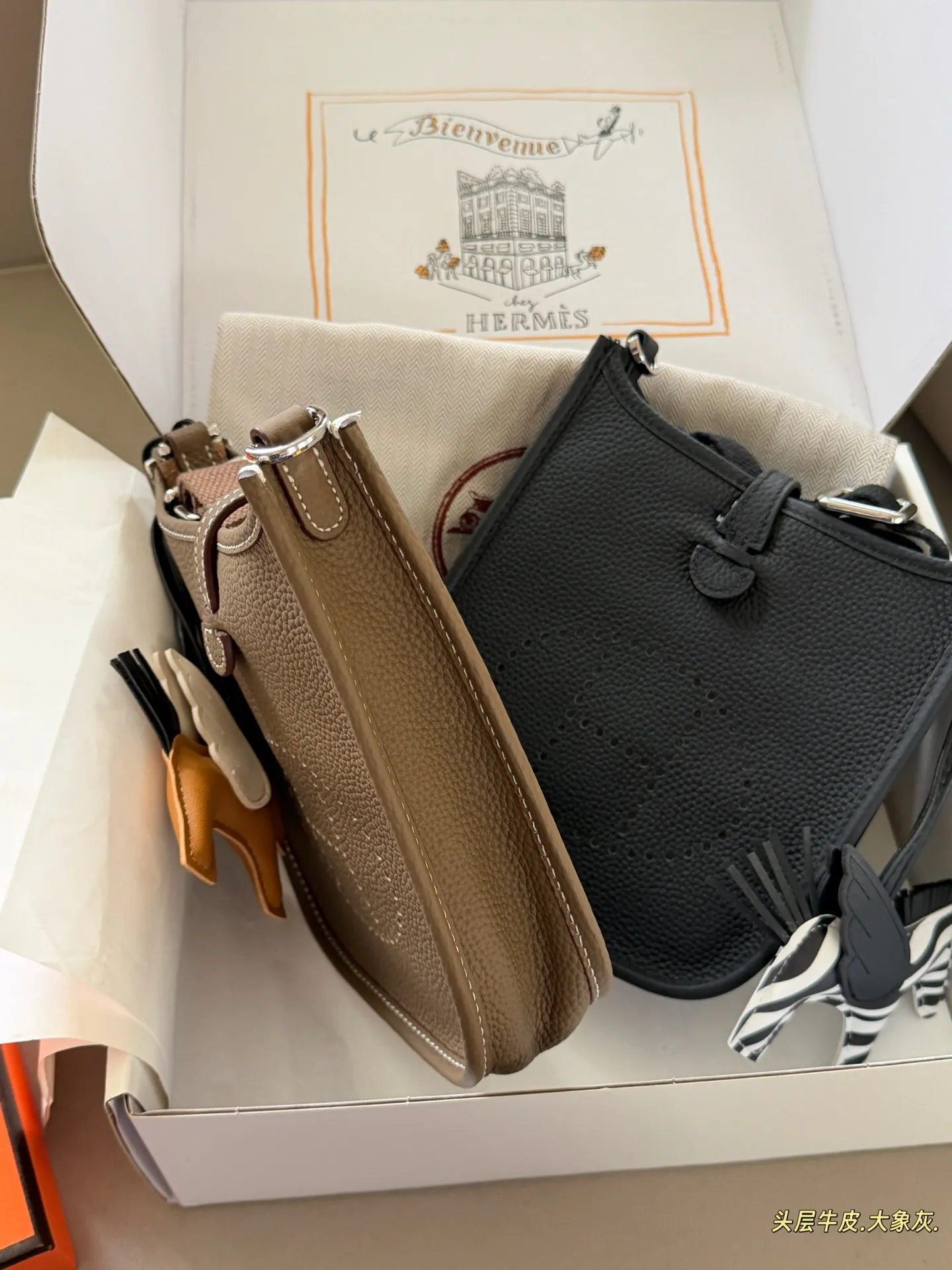 Evelyne Mini Crossbody Bag D31017998 — view 14