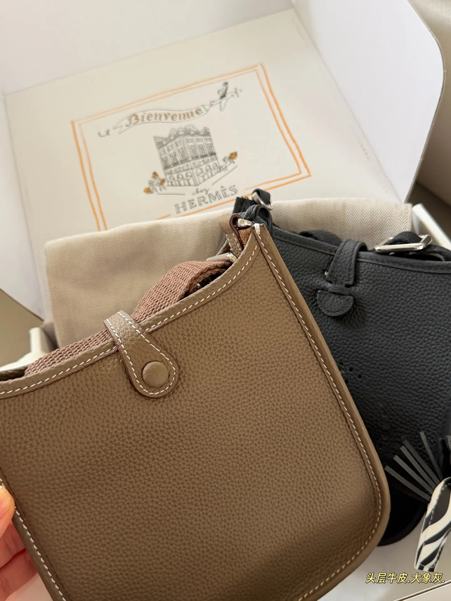 Evelyne Mini Crossbody Bag D31017998 — view 15