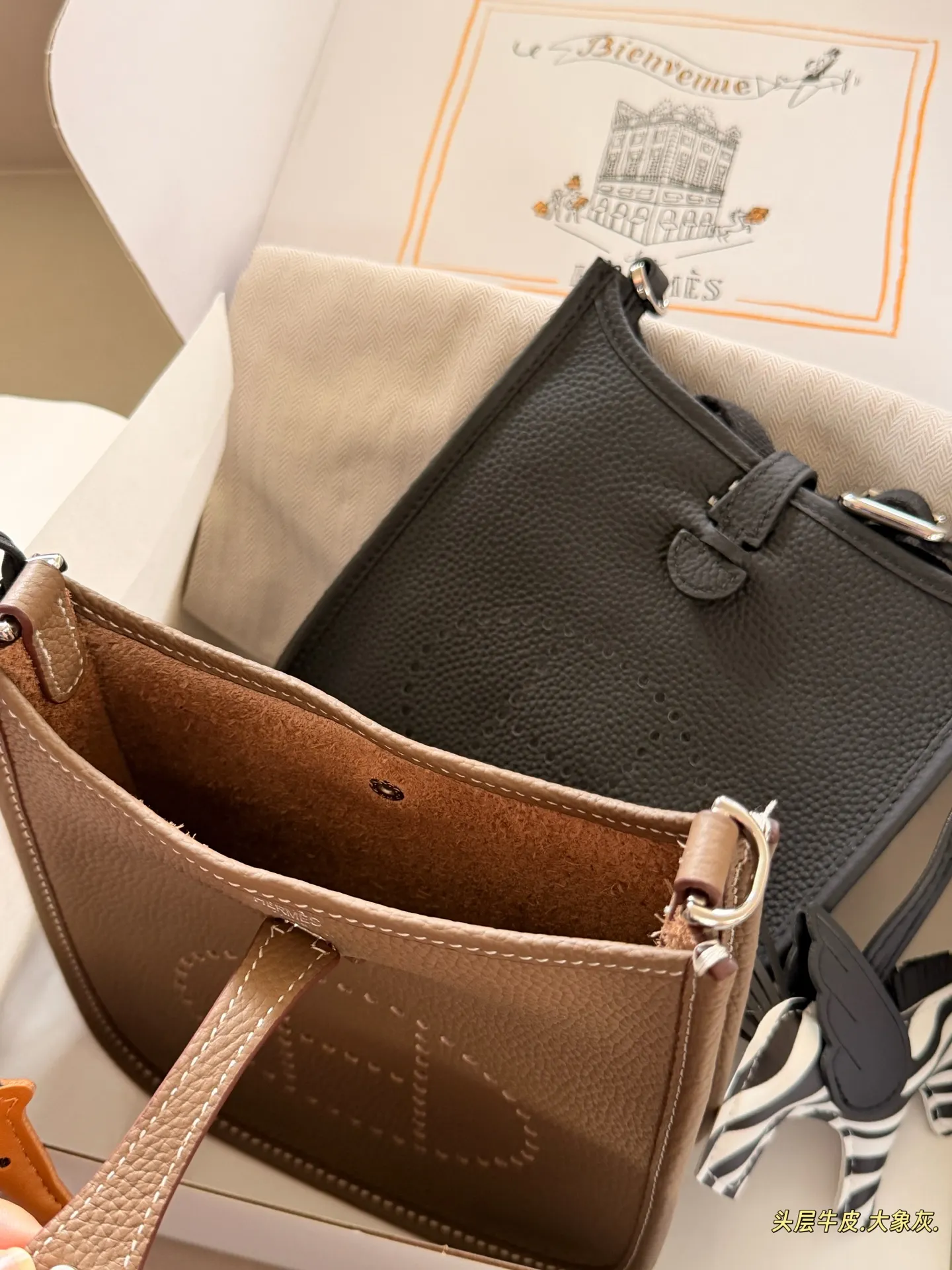 Evelyne Mini Crossbody Bag D31017998 — view 18