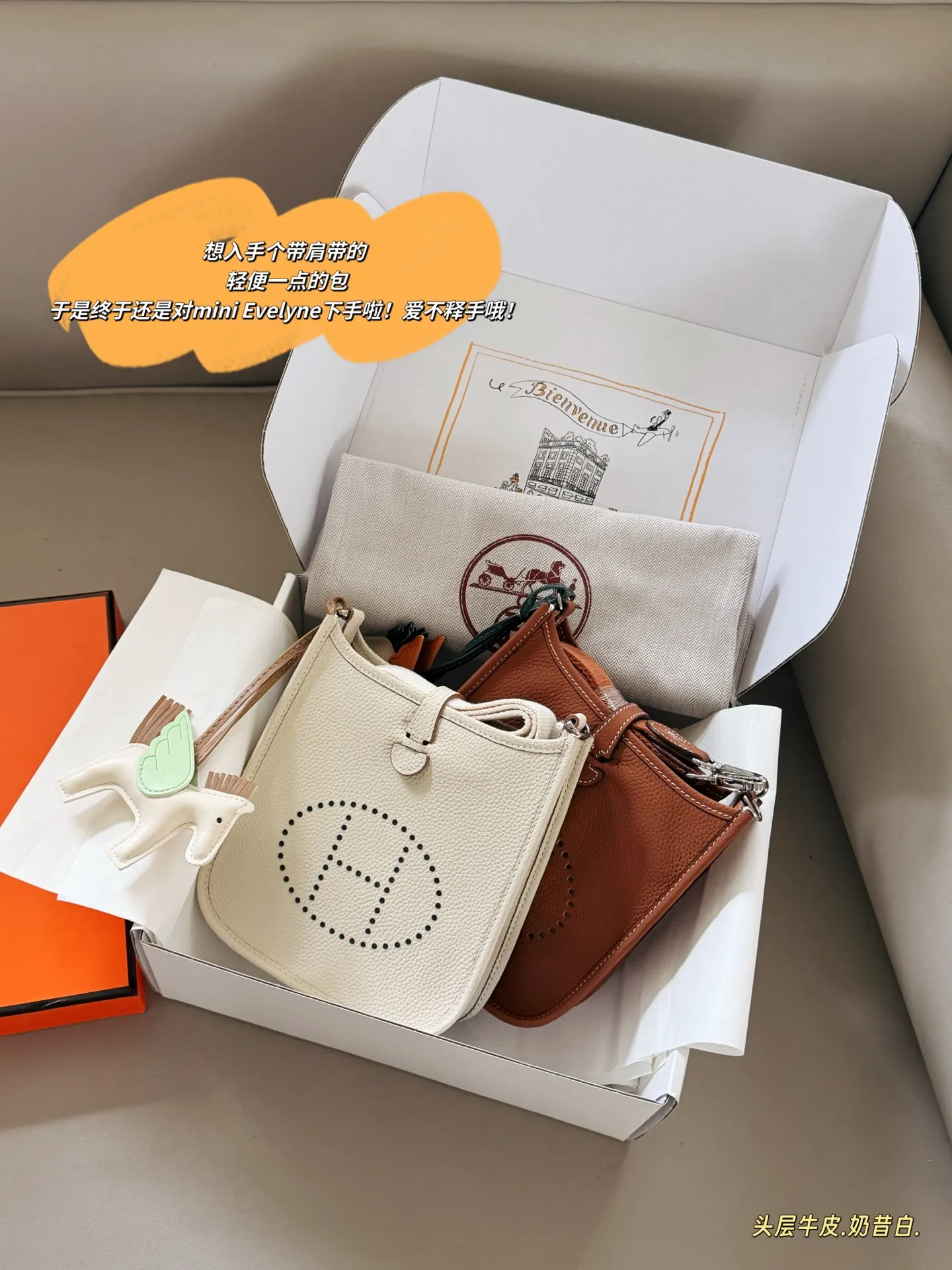 Evelyne Mini Crossbody Bag D31017998