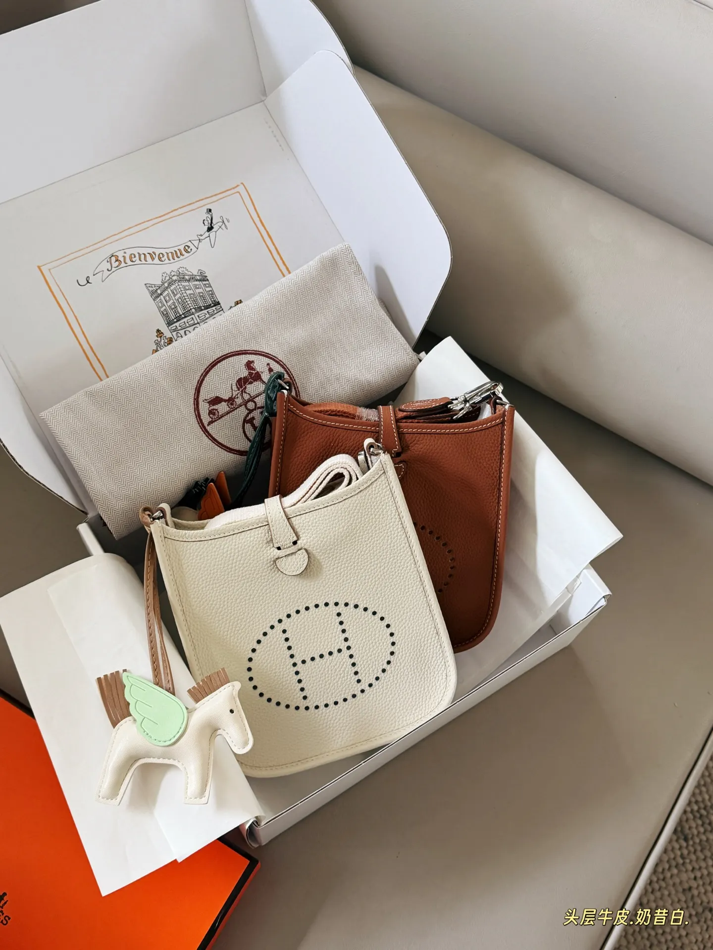 Evelyne Mini Crossbody Bag D31017998 — view 2