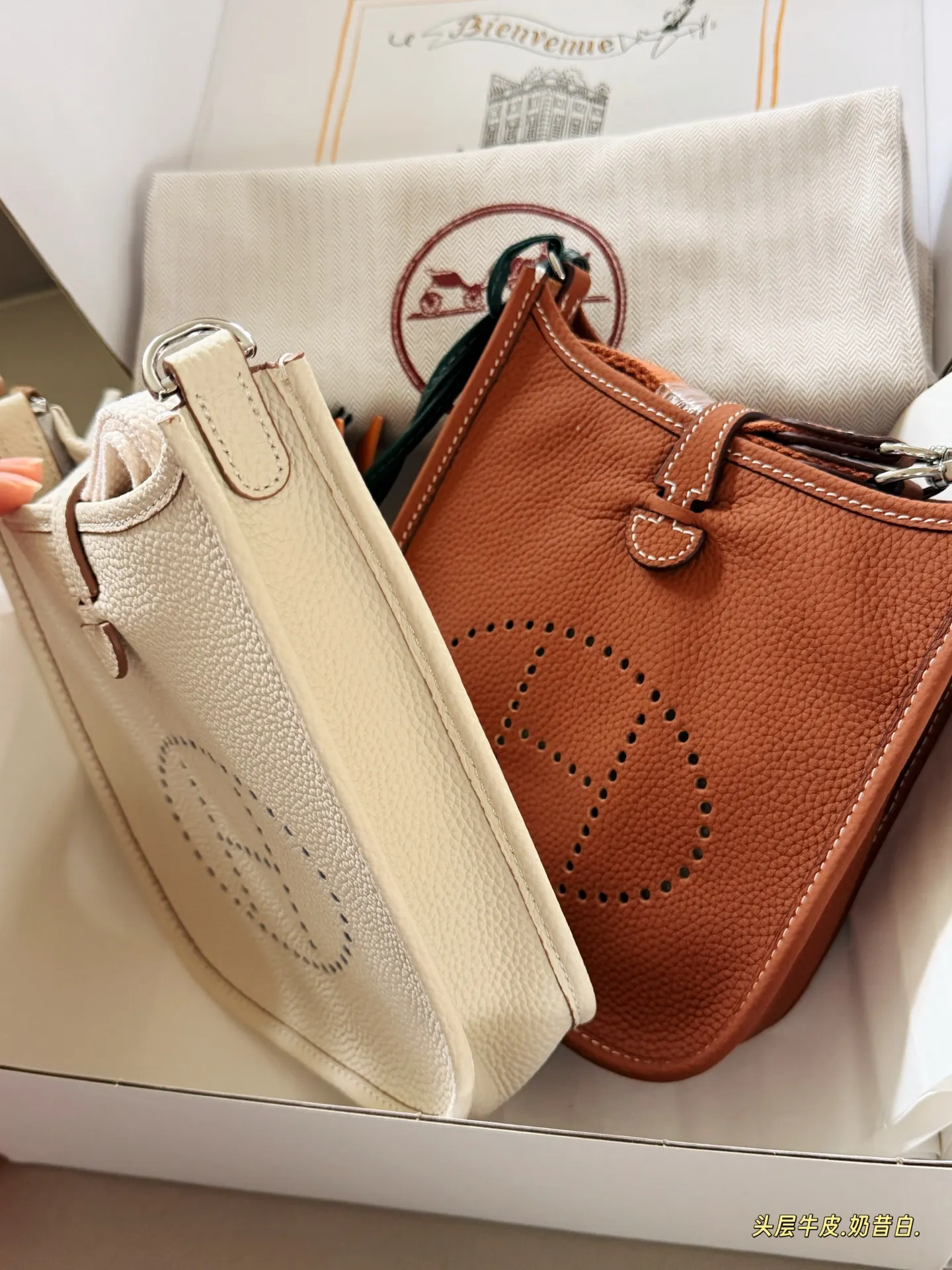 Evelyne Mini Crossbody Bag D31017998 — view 5