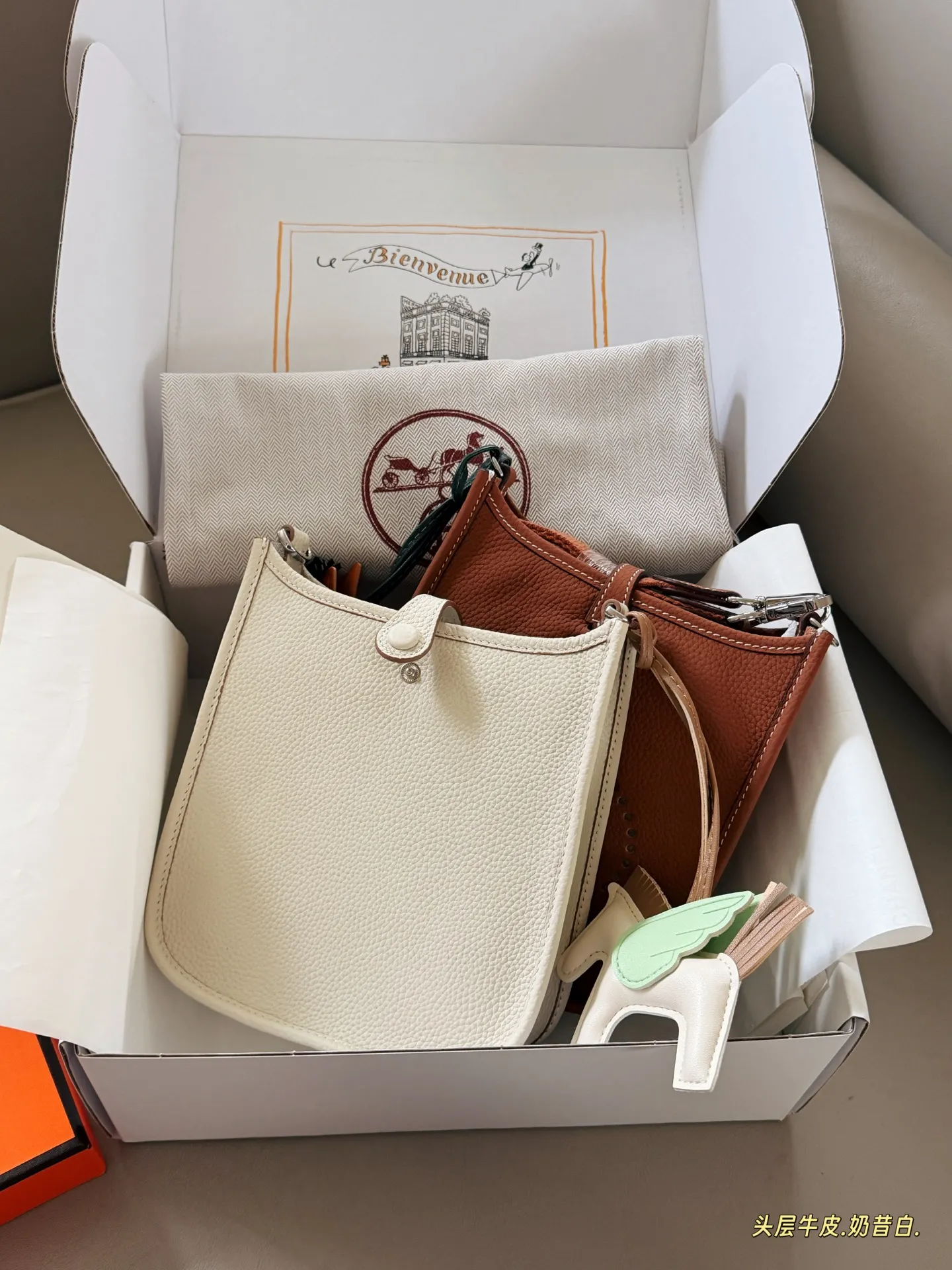 Evelyne Mini Crossbody Bag D31017998 — view 6