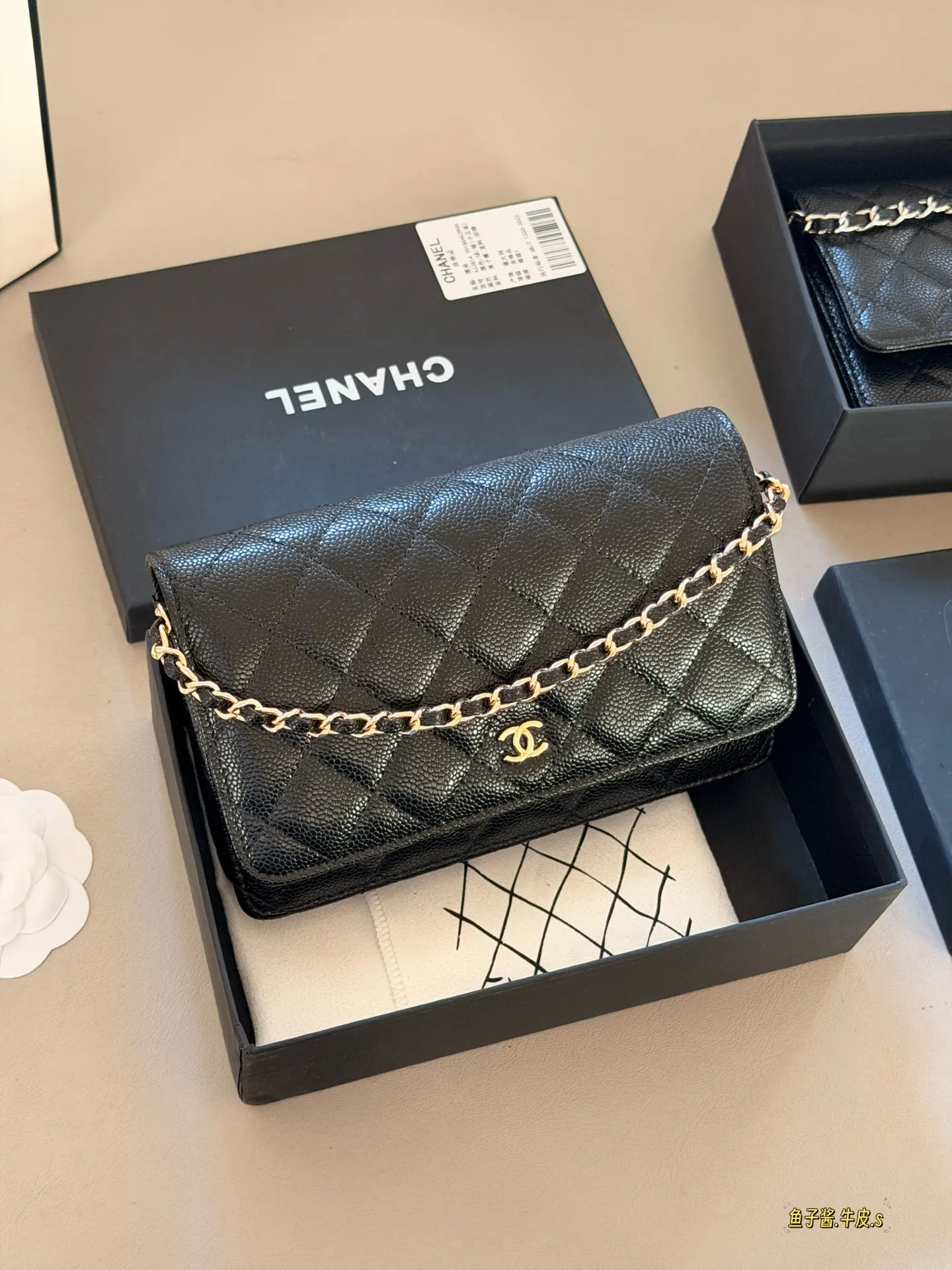 Quilted Caviar Leather Wallet on Chain D31018159 — view 2