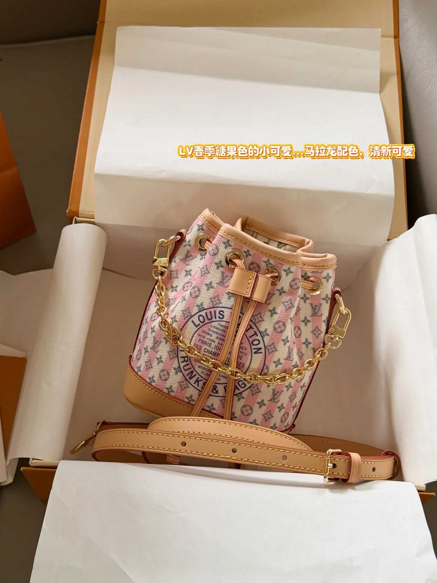 Monogram Canvas Bucket Bag D31018005
