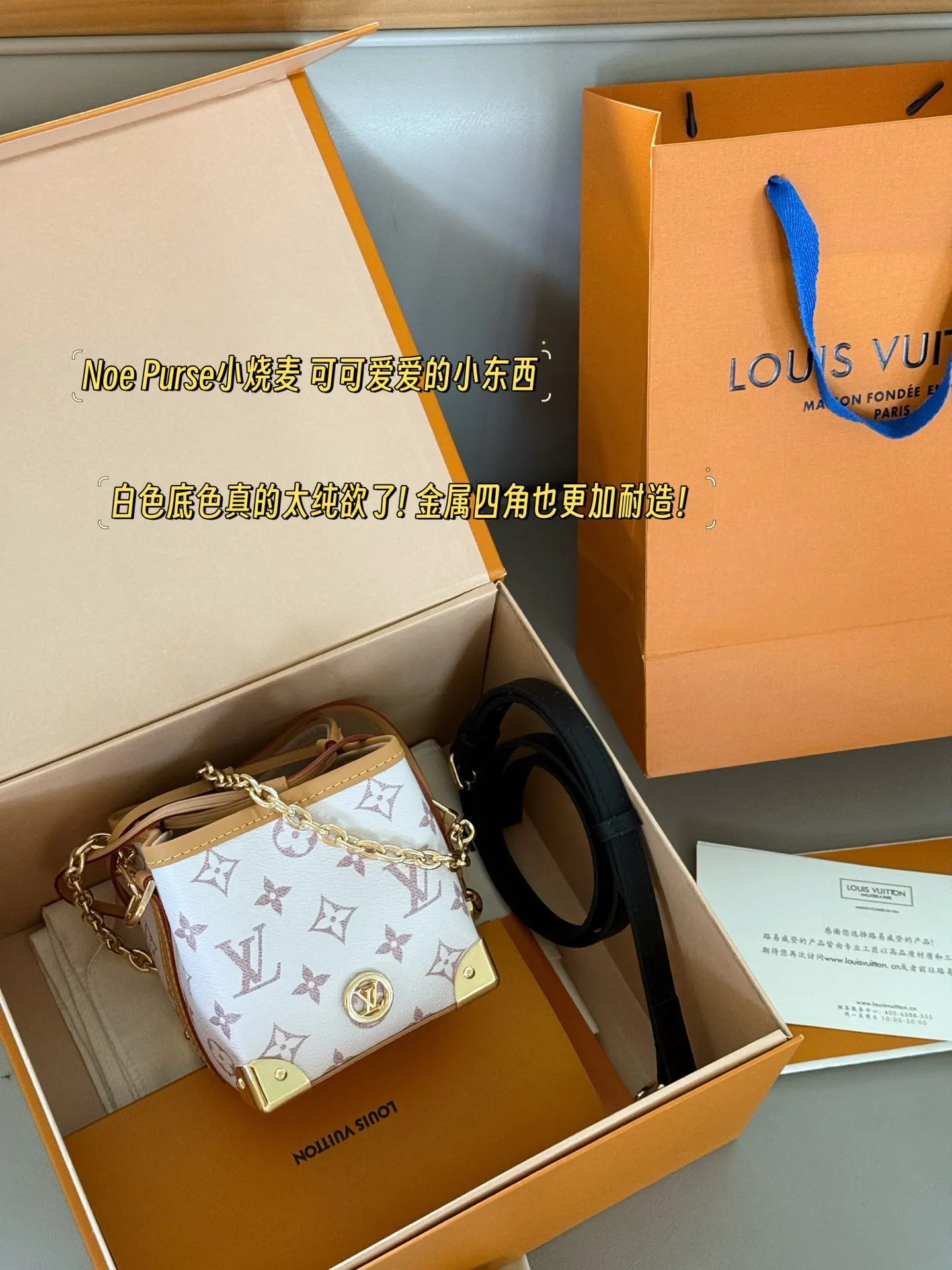 Mini Monogram Bucket Bag D31017936