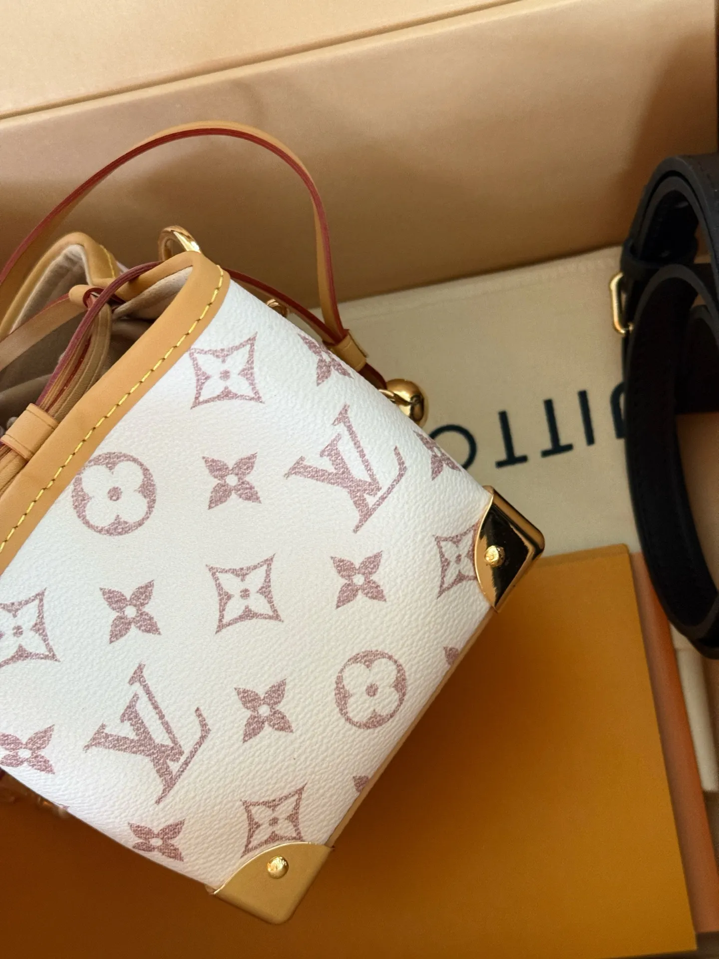 Mini Monogram Bucket Bag D31017936 — view 4