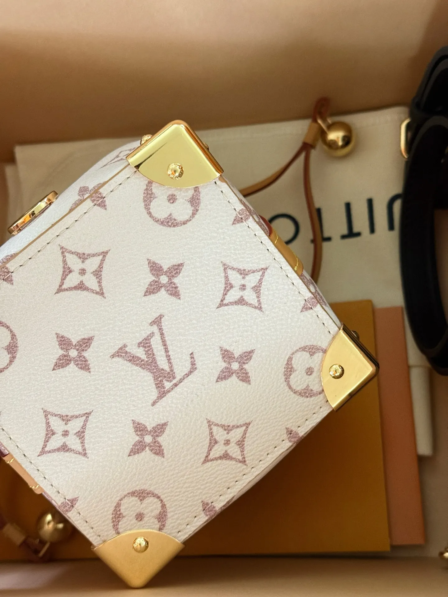 Mini Monogram Bucket Bag D31017936 — view 9