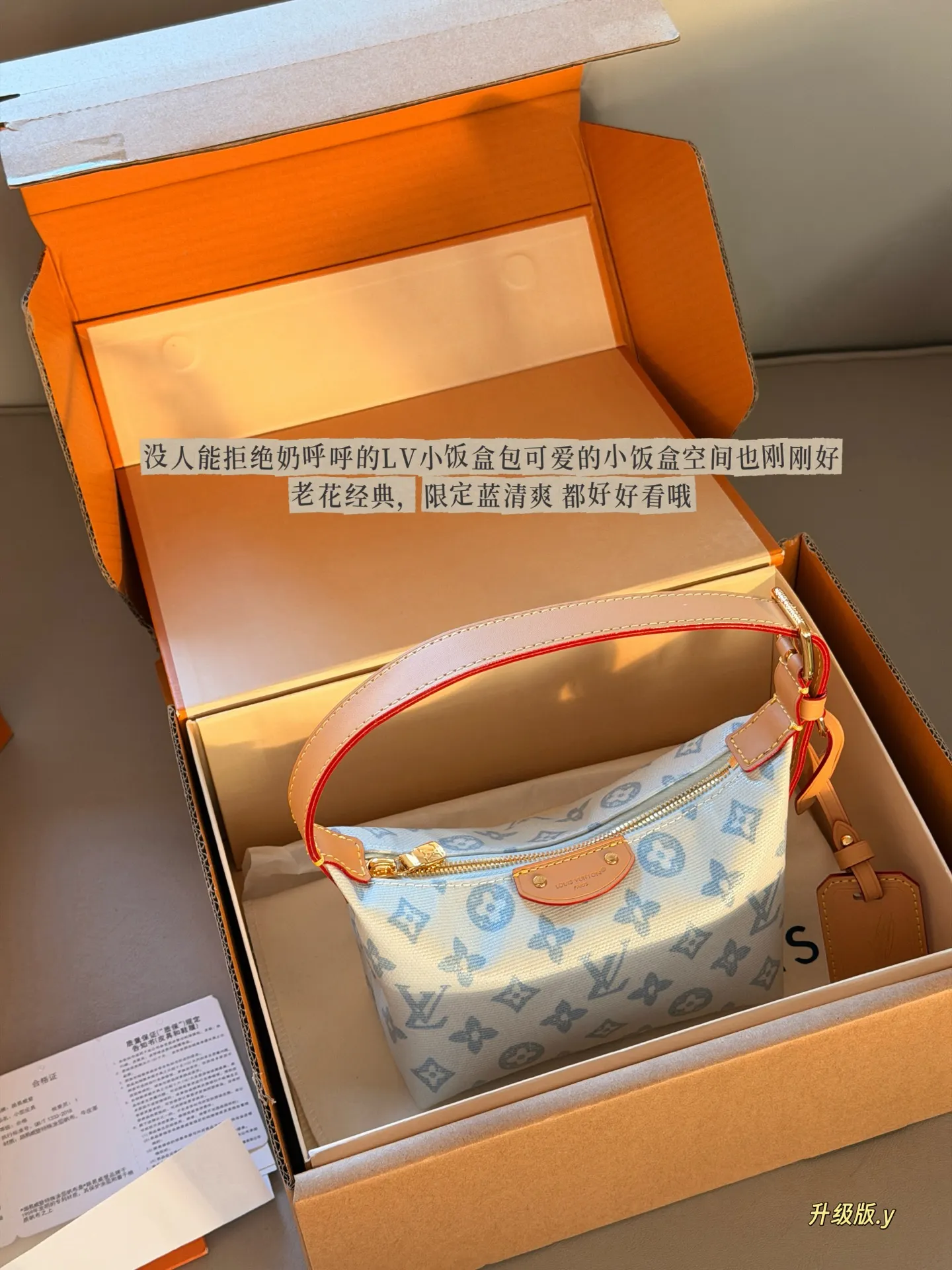 Monogram Canvas Lunchbox Bag D32018180