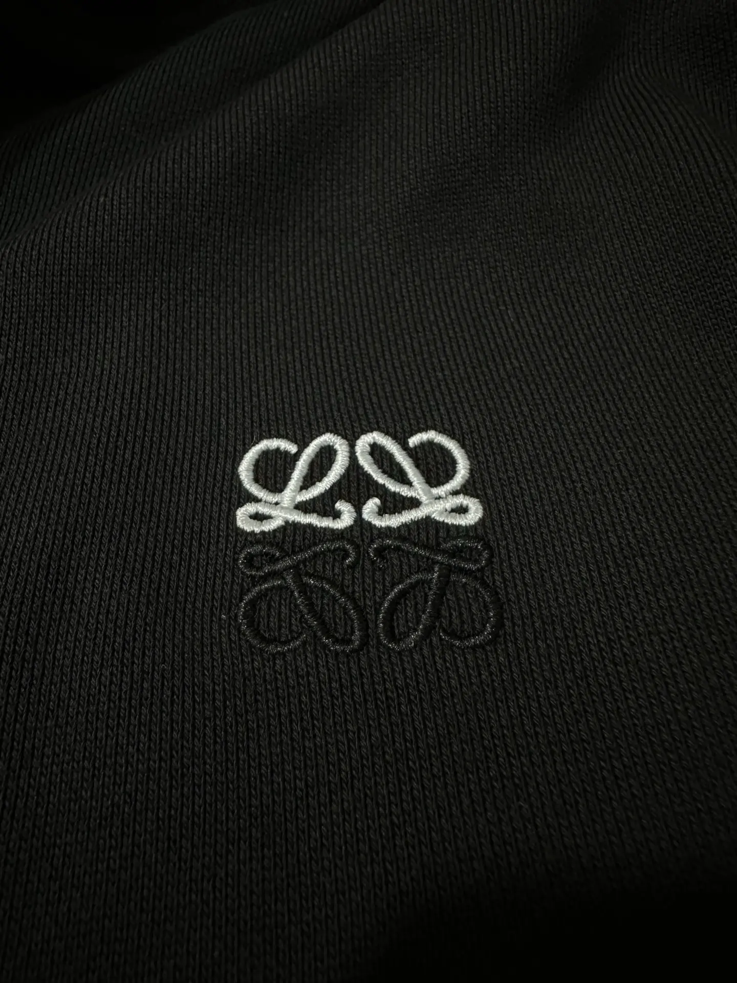 Anagram Embroidered Zip-Up Hoodie with Leather Drawstrings D33523577 — view 8