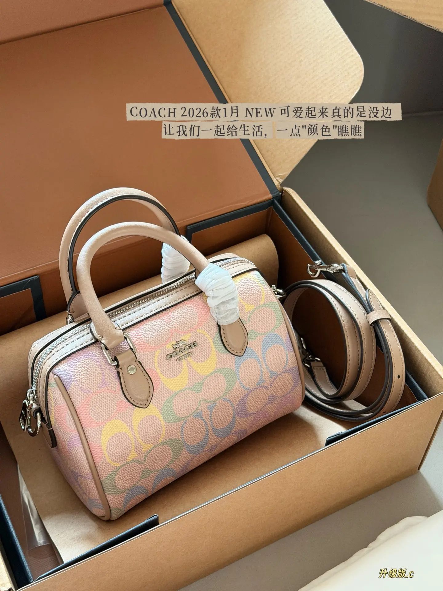 Mini Rowan Satchel in Rainbow Signature Canvas D33517881