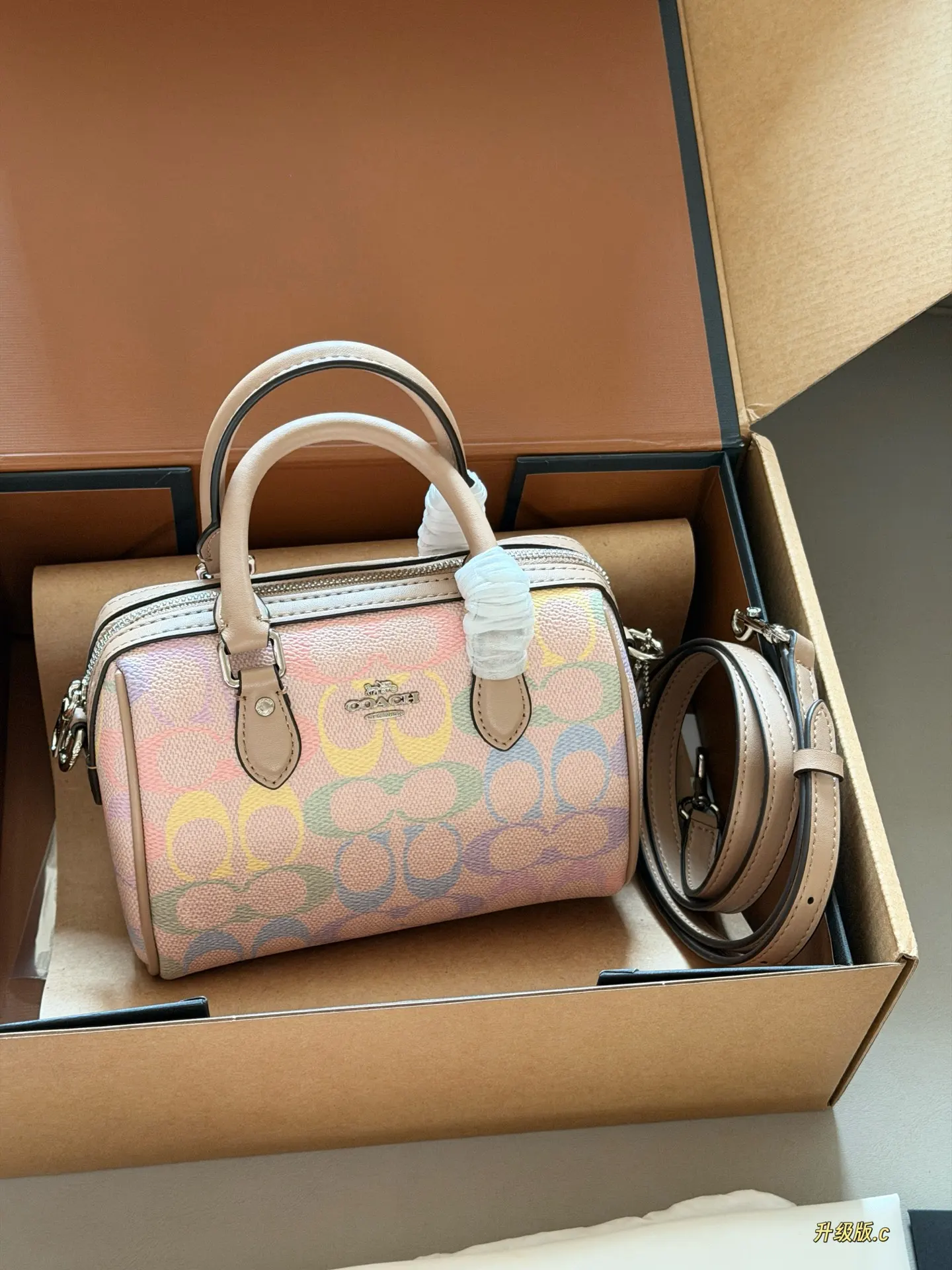Mini Rowan Satchel in Rainbow Signature Canvas D33517881 — view 2