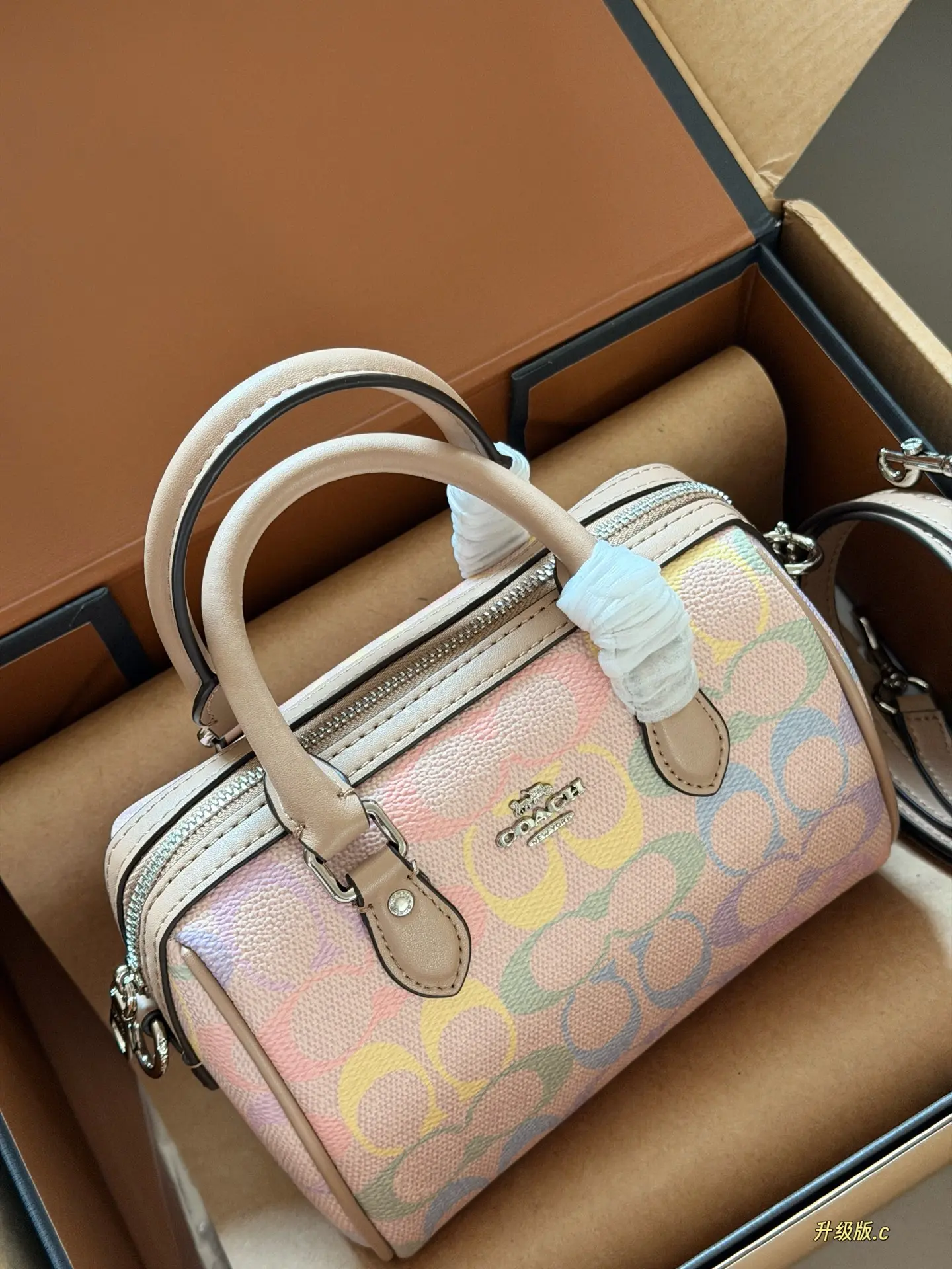 Mini Rowan Satchel in Rainbow Signature Canvas D33517881 — view 3
