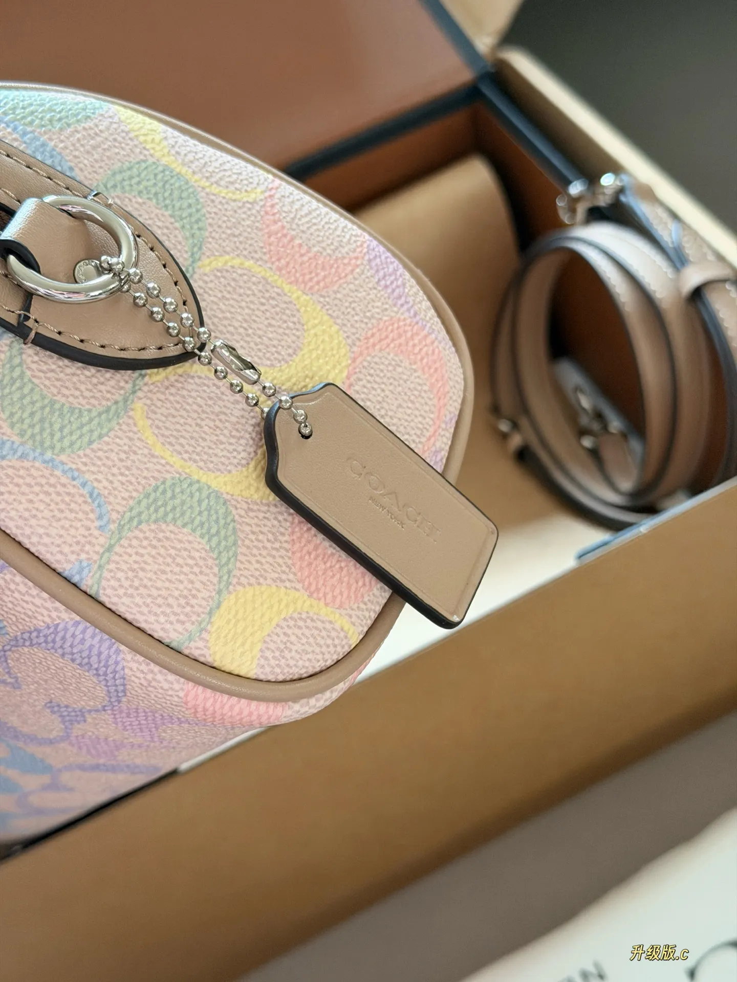 Mini Rowan Satchel in Rainbow Signature Canvas D33517881 — view 5