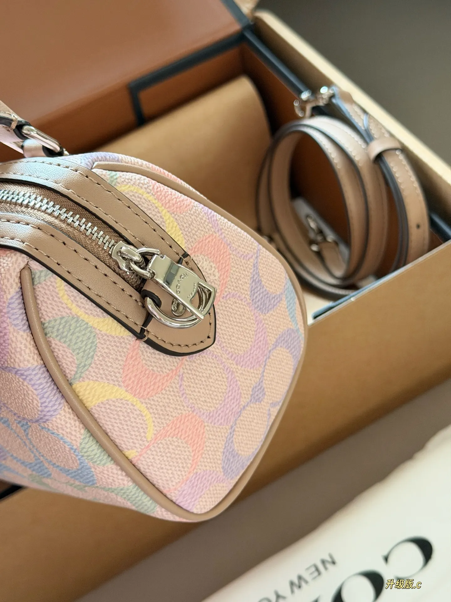 Mini Rowan Satchel in Rainbow Signature Canvas D33517881 — view 6