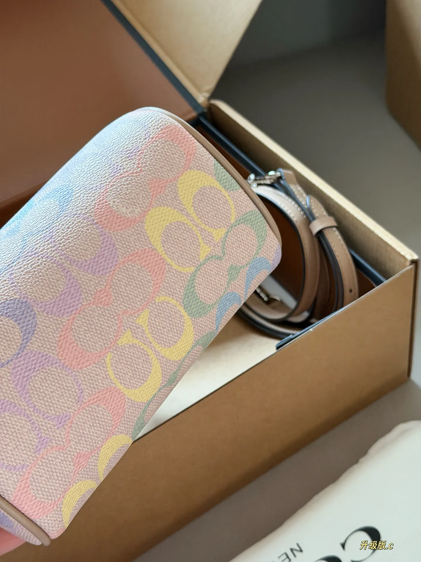 Mini Rowan Satchel in Rainbow Signature Canvas D33517881 — view 8