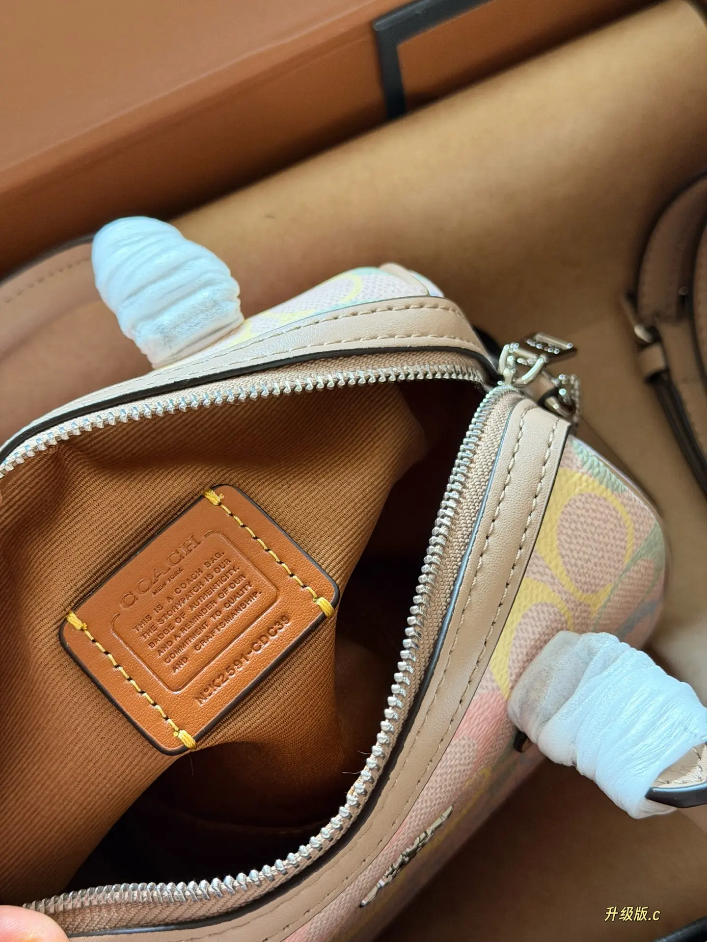 Mini Rowan Satchel in Rainbow Signature Canvas D33517881 — view 9