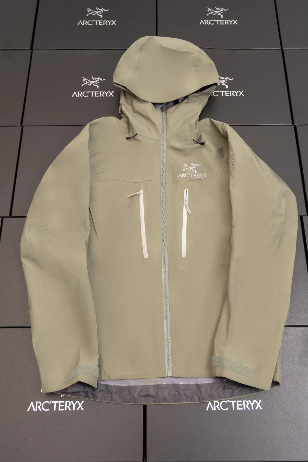 Alpha SV GORE-TEX Hooded Shell Jacket D34020788