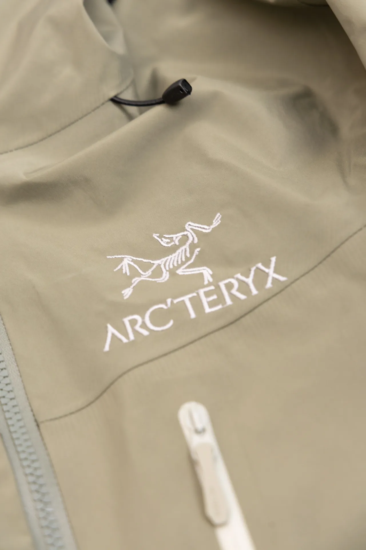 Alpha SV GORE-TEX Hooded Shell Jacket D34020788 — view 3