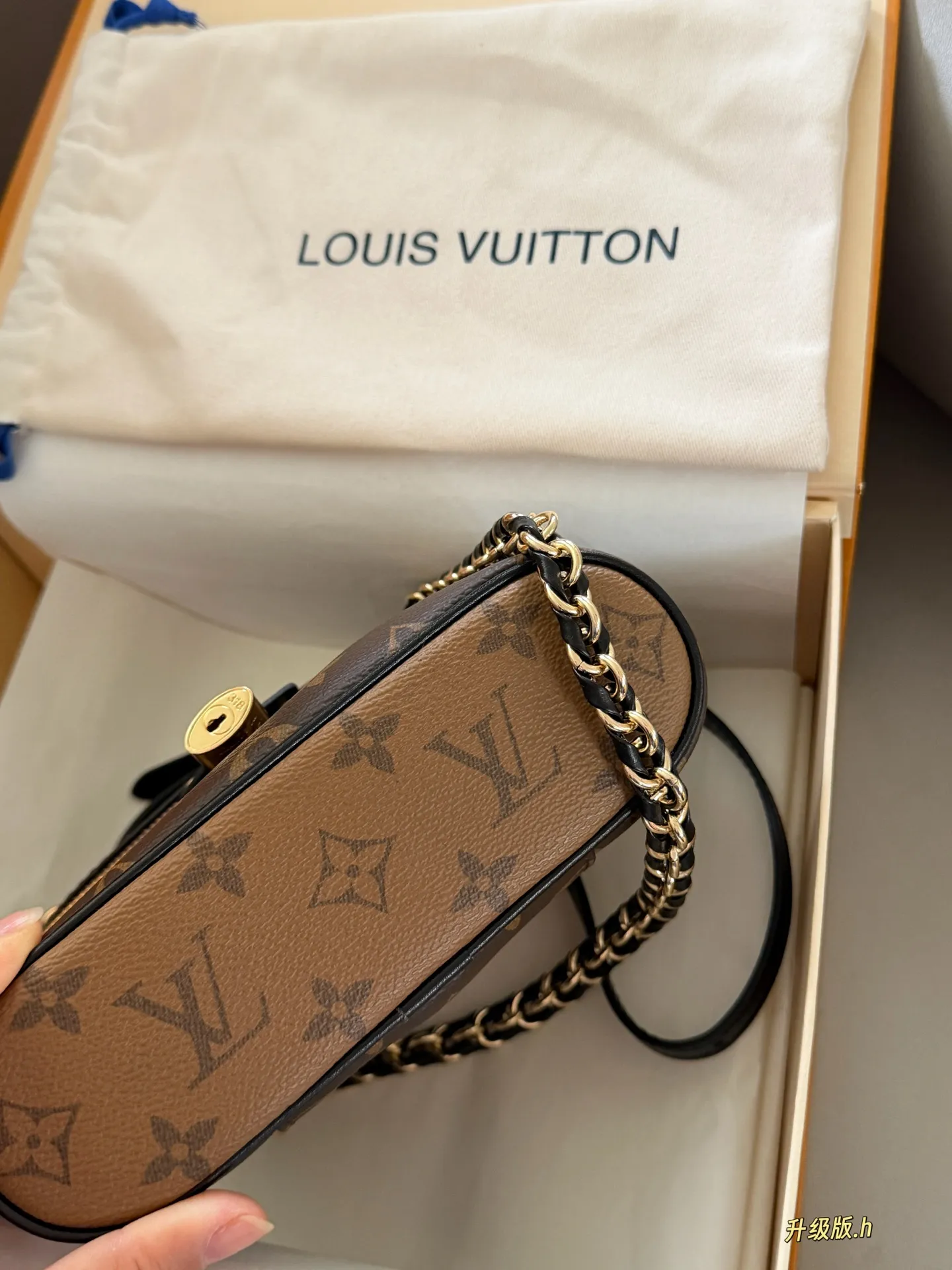 Monogram Vanity Box Bag D35518004 — view 8