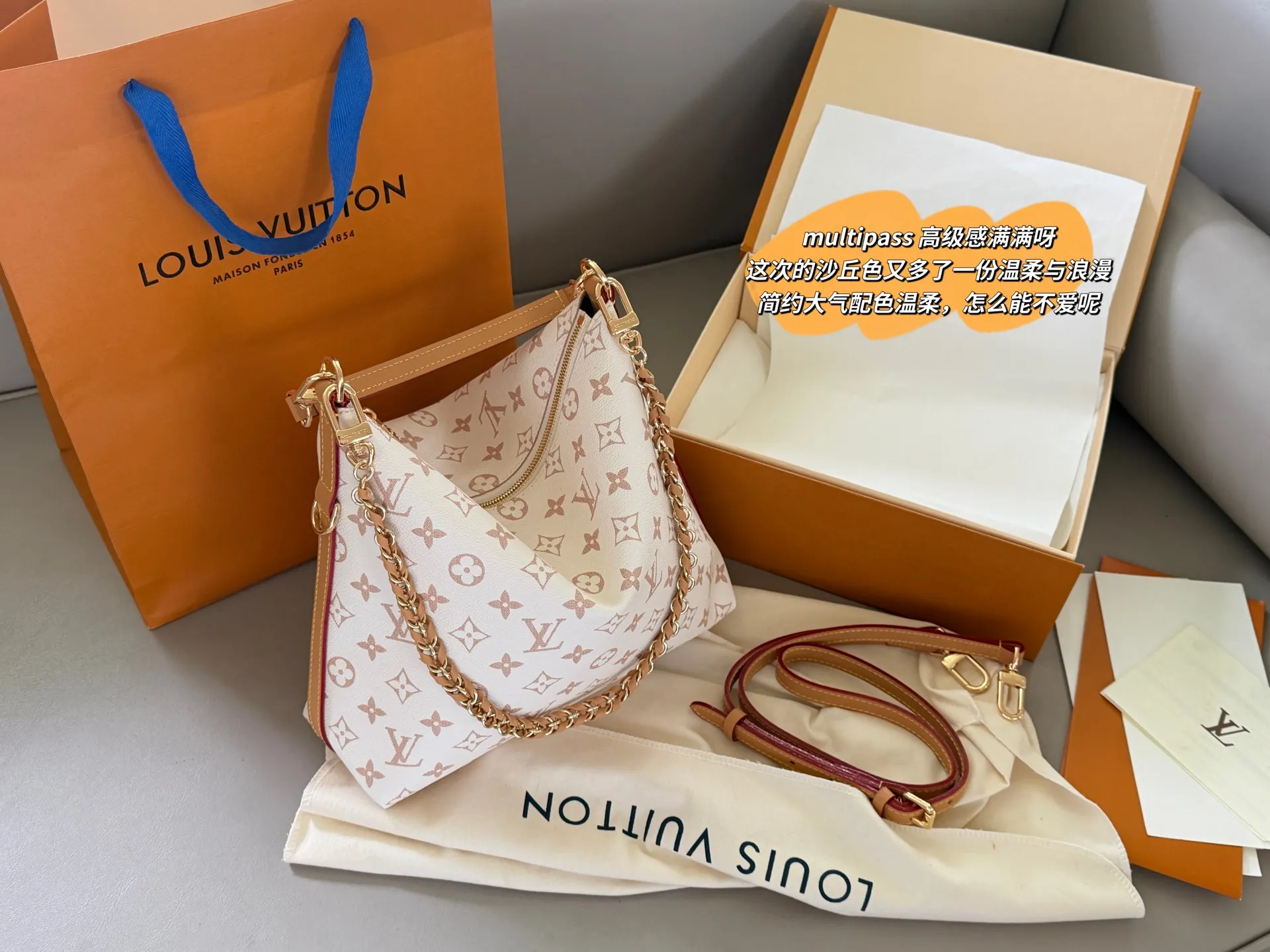 Multipass Monogram Hobo Bag D36018116