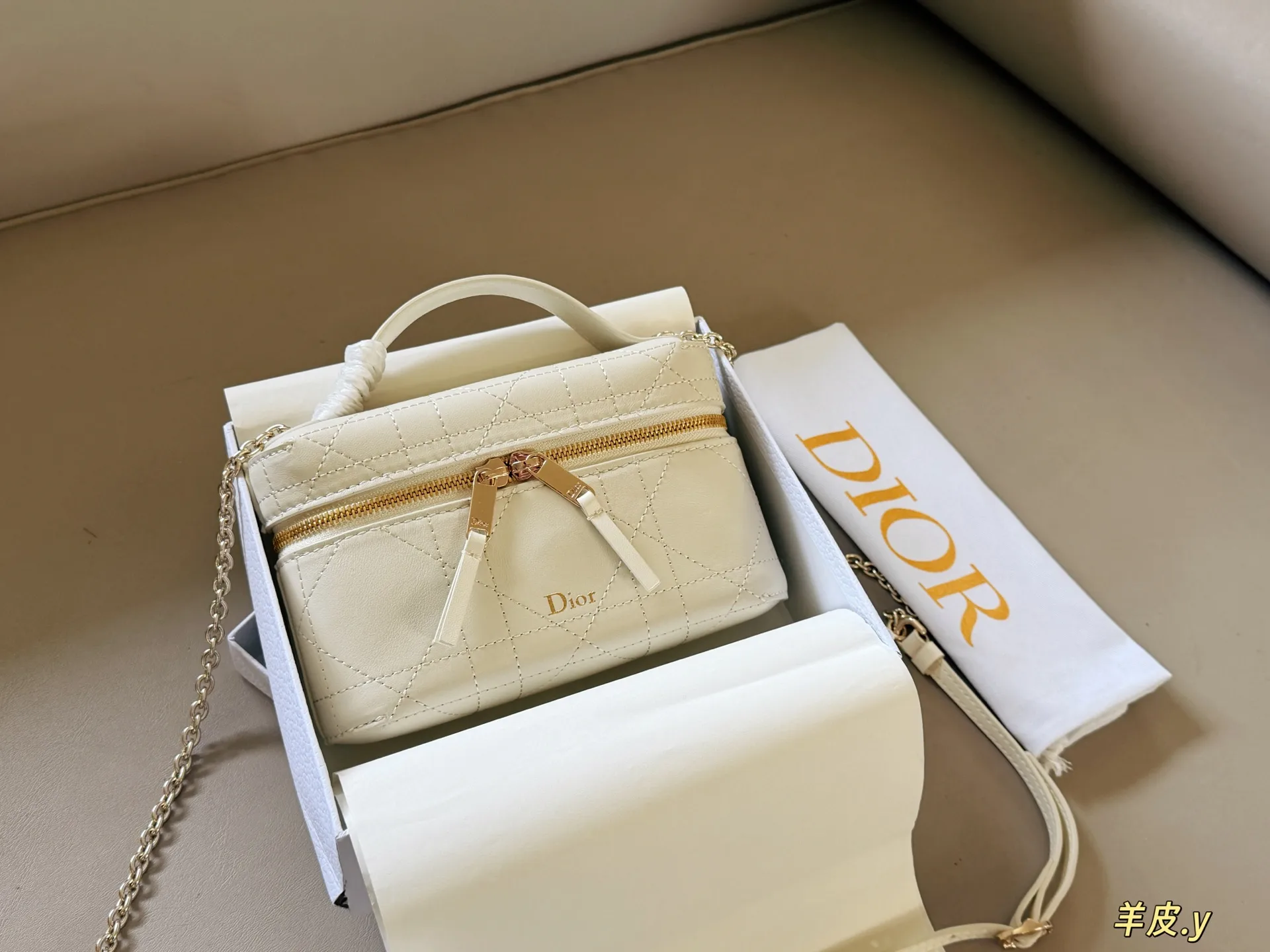 Dior Caro Lambskin Vanity Case D37017844