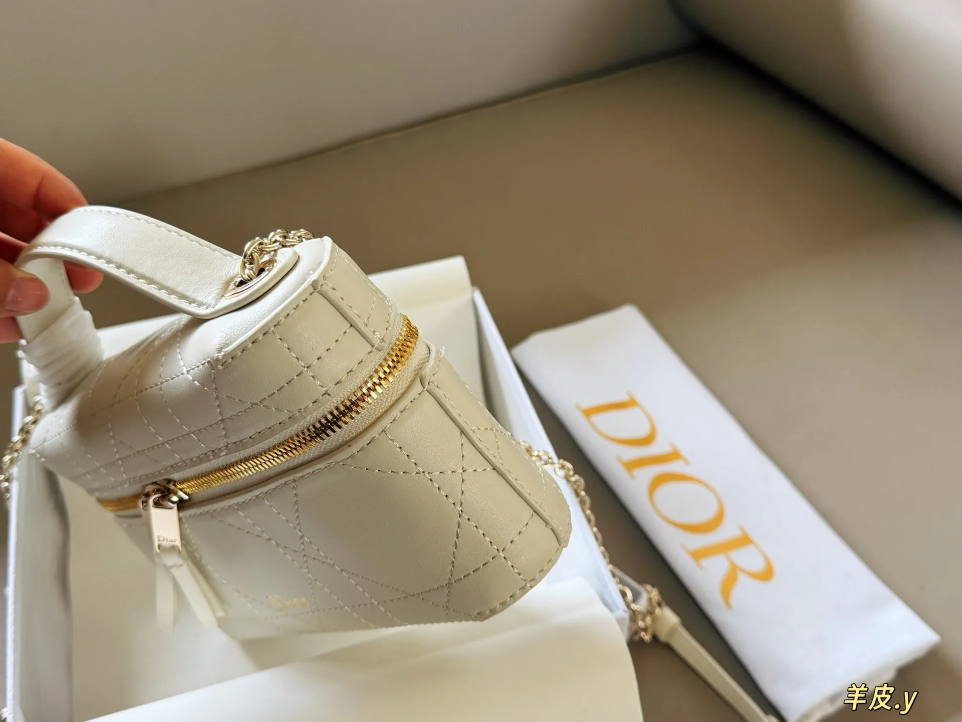 Dior Caro Lambskin Vanity Case D37017844 — view 6