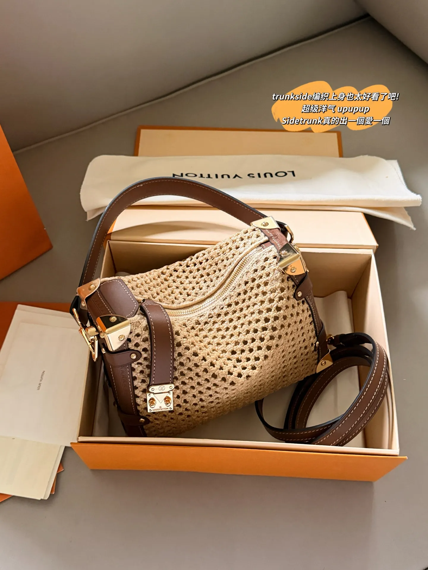 Trunkside Woven Shoulder Bag D37518118