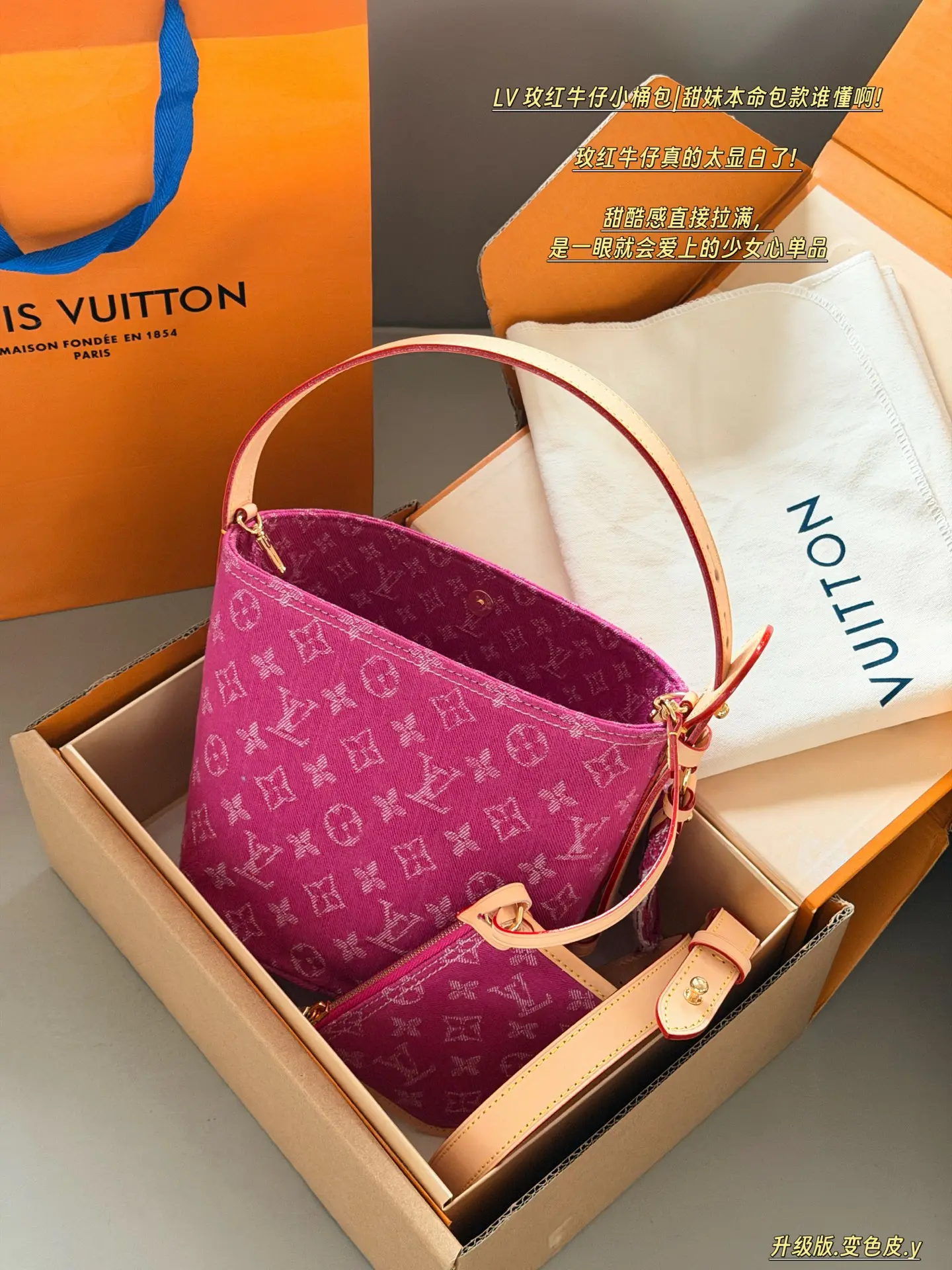 Monogram Denim All-In BB Bucket Bag D38018053