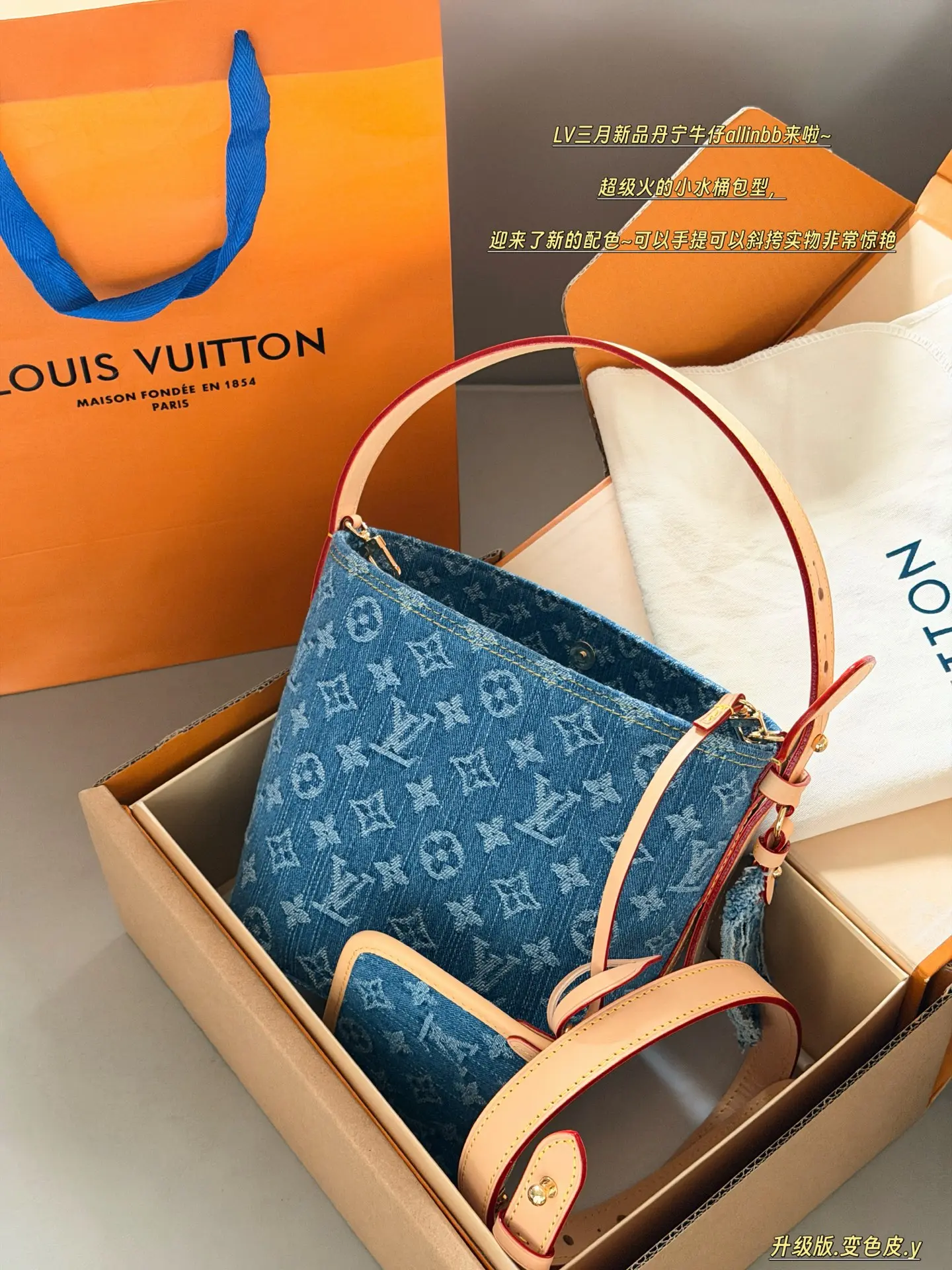 All In BB Monogram Denim Bucket Bag D38018055