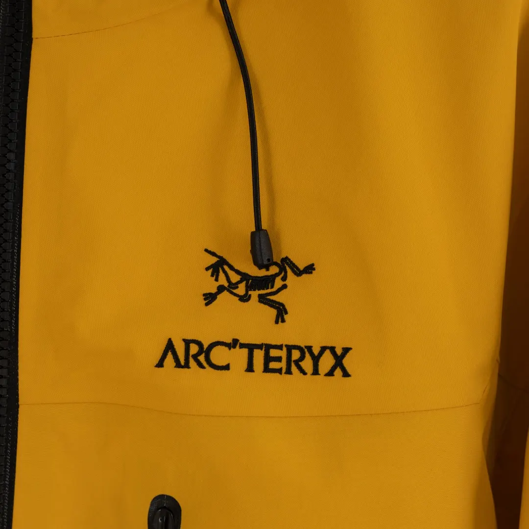 Alpha SV GORE-TEX Pro Hooded Shell Jacket D40013821 — view 5