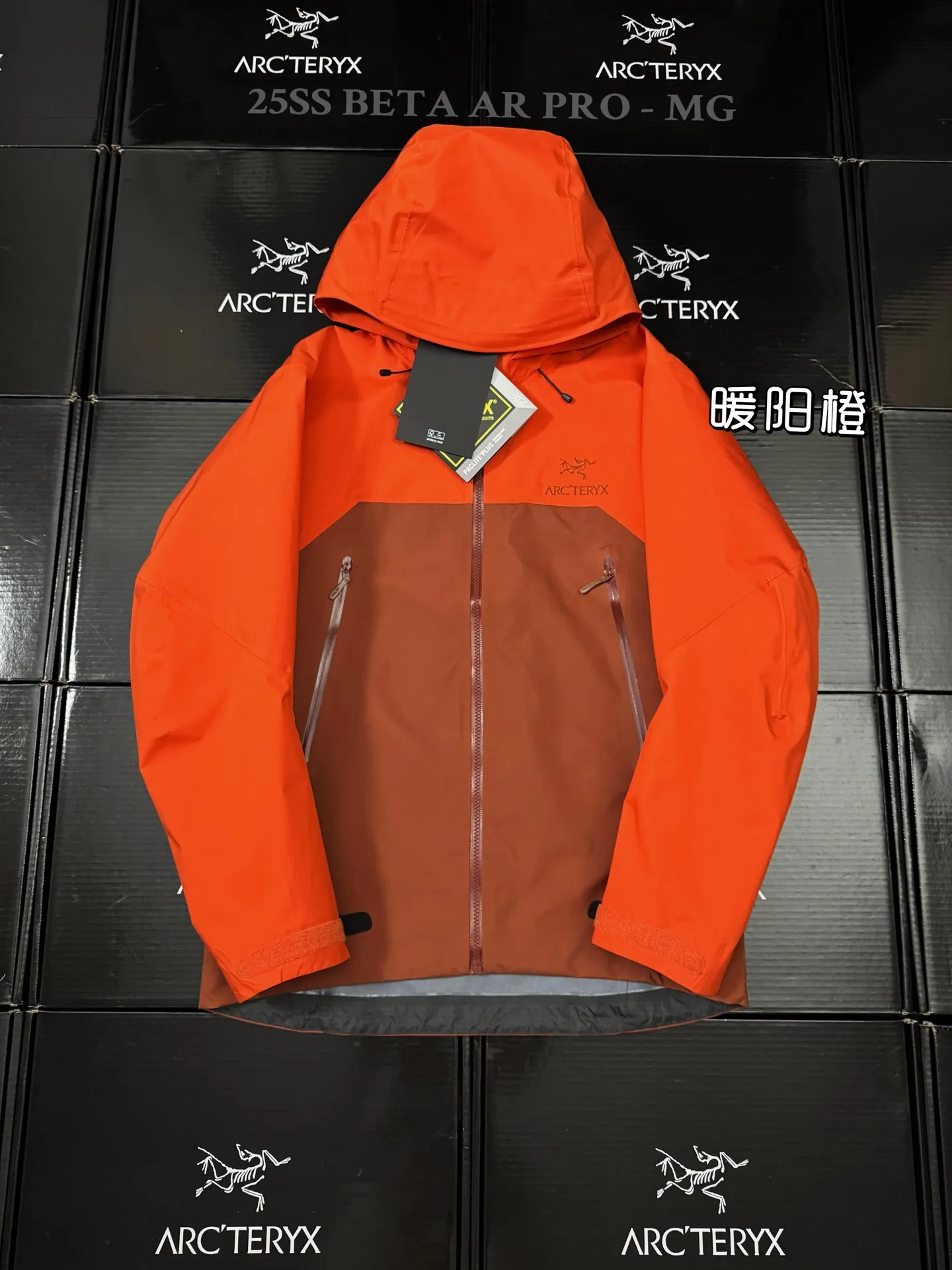 Beta AR GORE-TEX PRO Hooded Shell Jacket D43020803