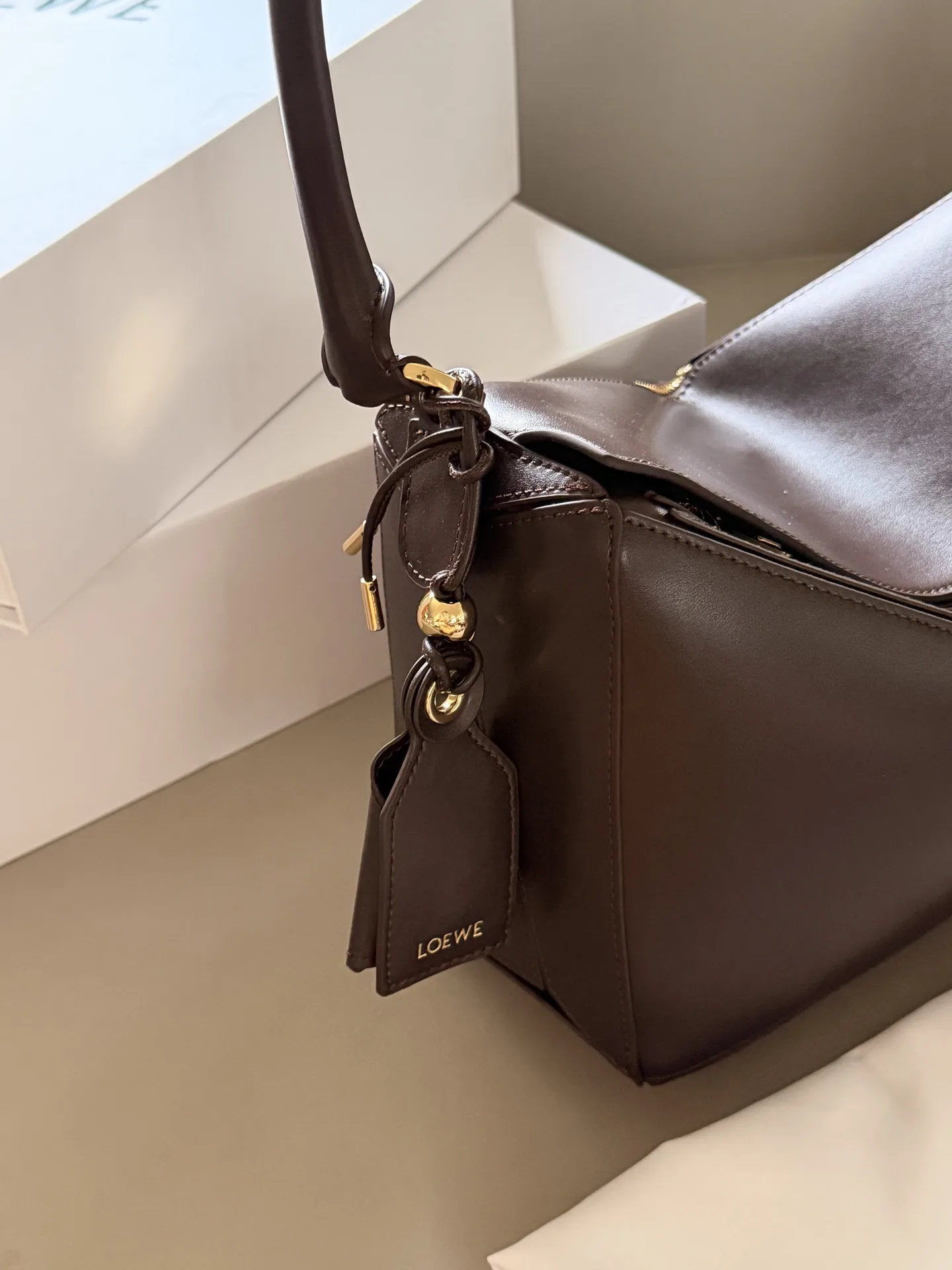 Loewe Puzzle Hobo Shoulder Bag D43518513 — view 4