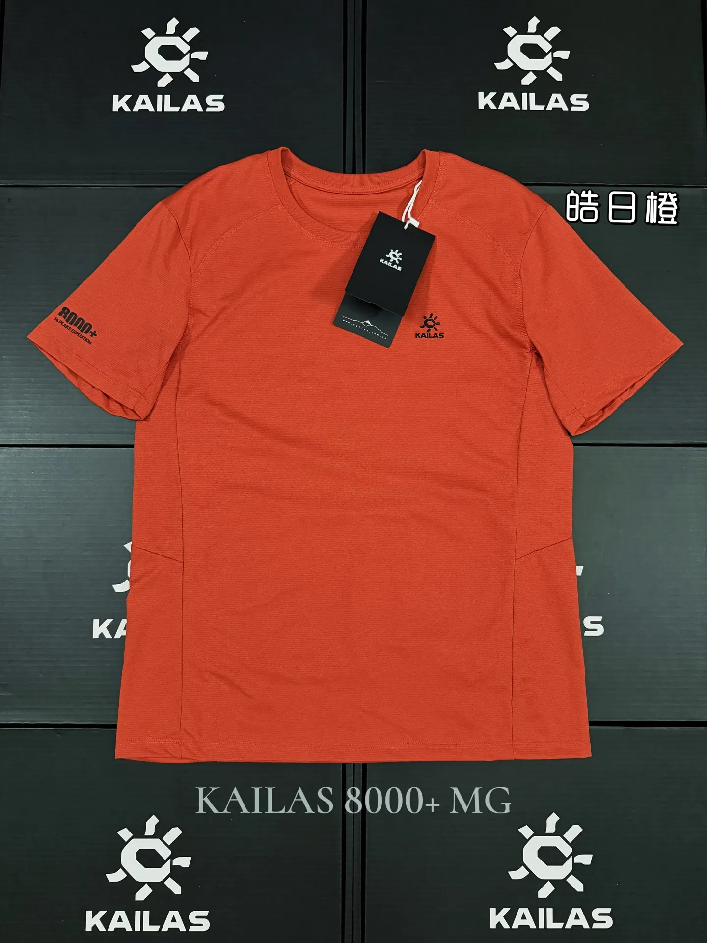 Kailas Quick-Dry Performance T-Shirt D18011497 — view 3