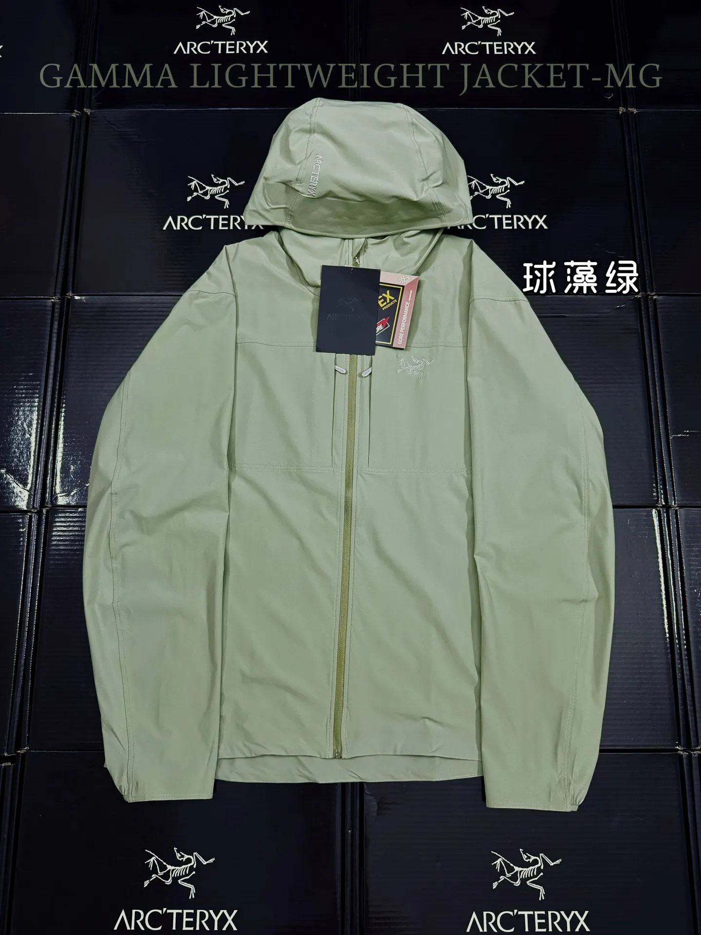 Gamma Lightweight Hooded Softshell Jacket D31020811