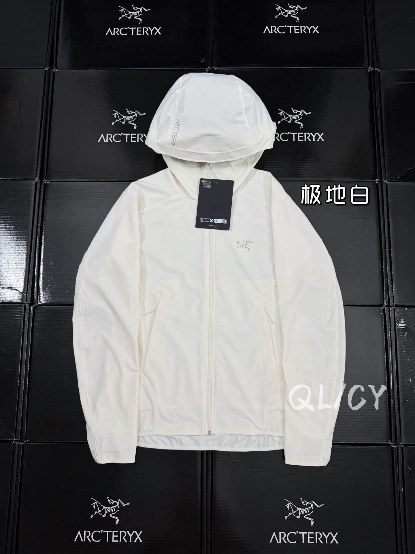 Gamma Lightweight Hooded Softshell Jacket D32020842