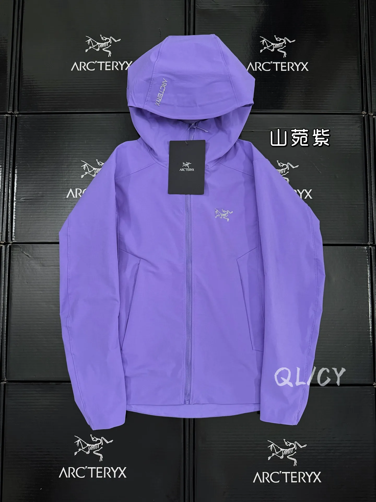 Gamma Hoody Softshell Jacket D32020877