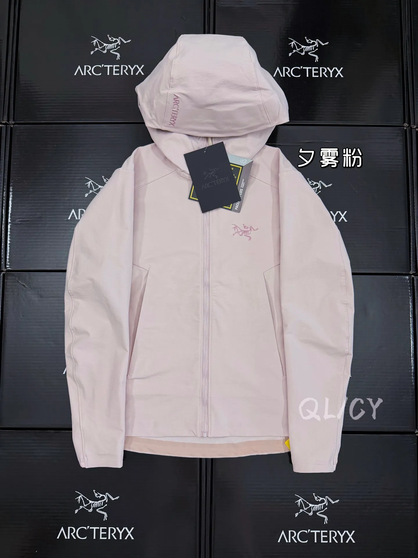 Arc'teryx Gamma Hooded Softshell Jacket D32020874
