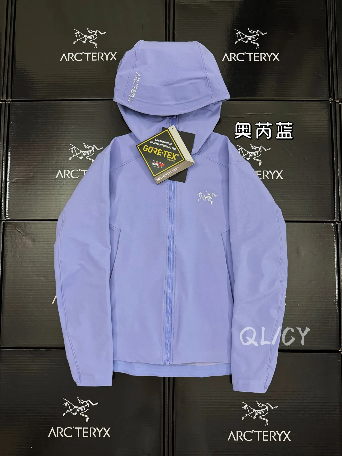 Gamma Hoody Softshell Jacket D32020876