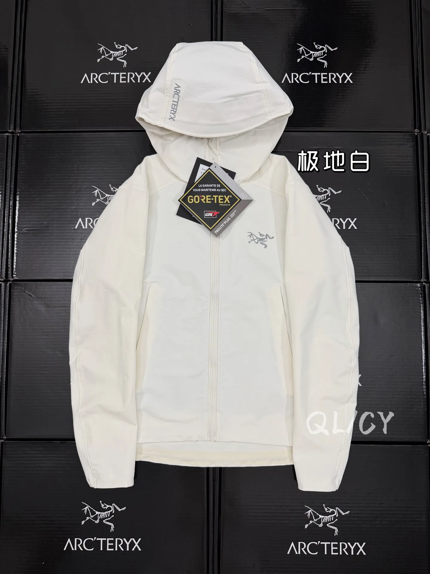 Gamma Hoody Softshell Jacket D32020870