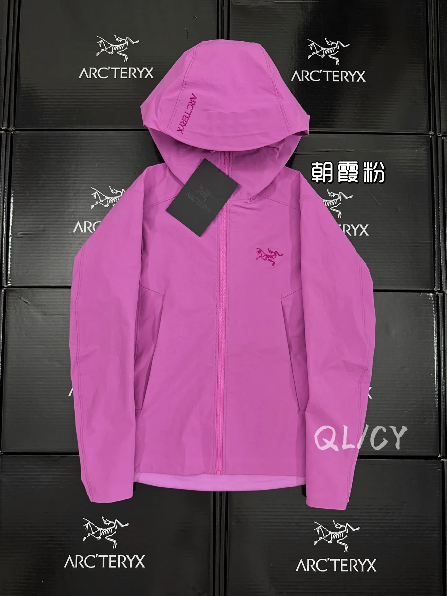 Gamma Hooded Softshell Jacket D32020875