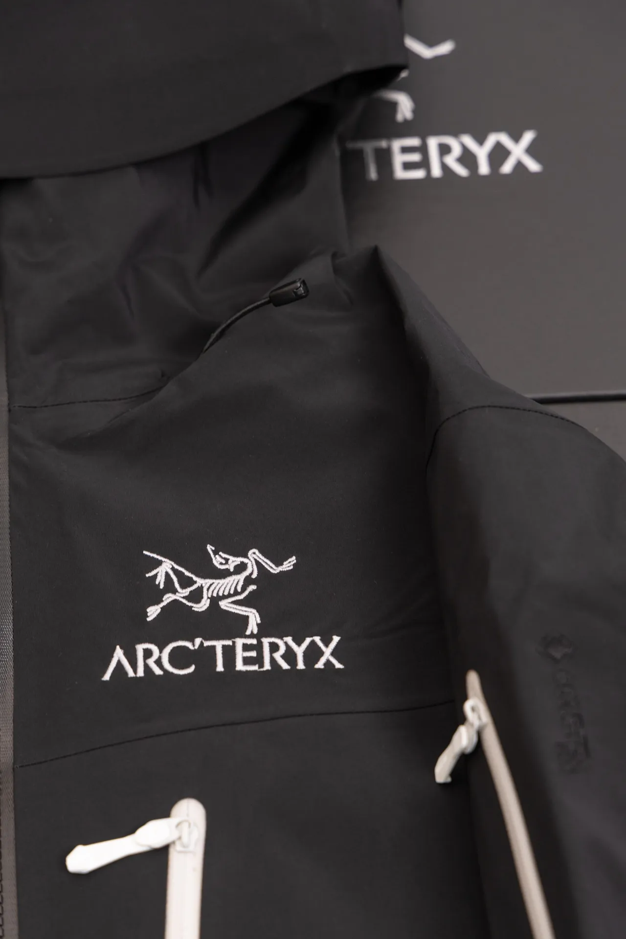 Alpha SV GORE-TEX Hooded Shell Jacket D34020792 — view 2