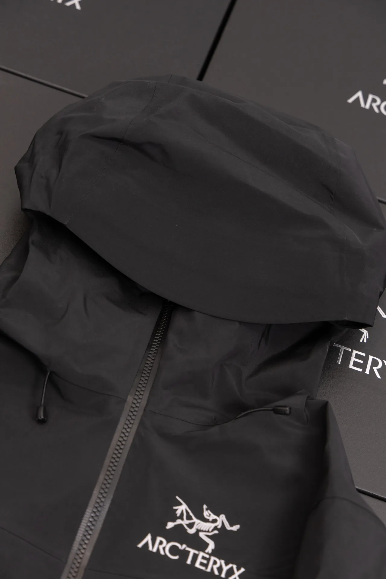 Alpha SV GORE-TEX Hooded Shell Jacket D34020792 — view 5