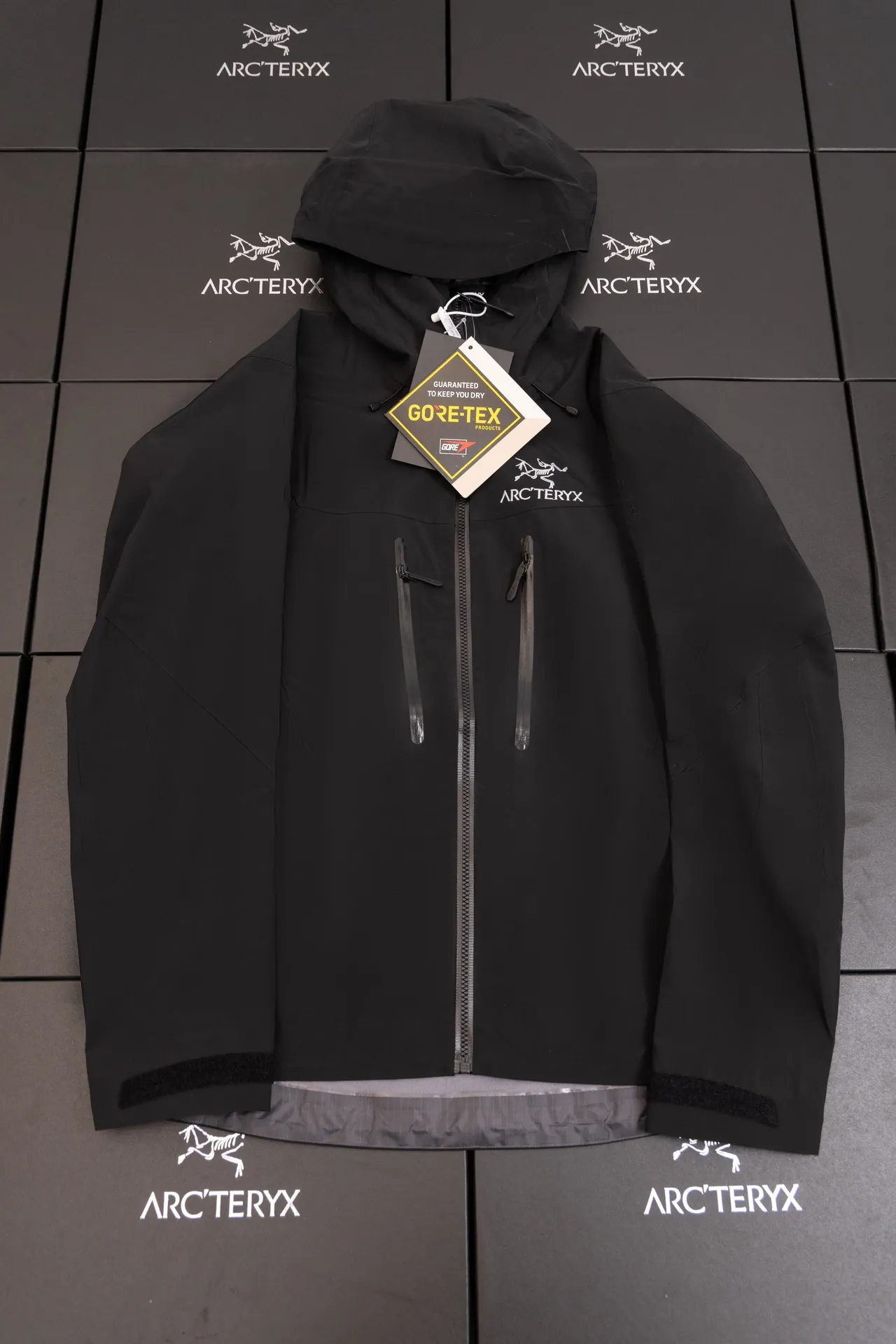 Alpha SV GORE-TEX Hooded Shell Jacket D34020794
