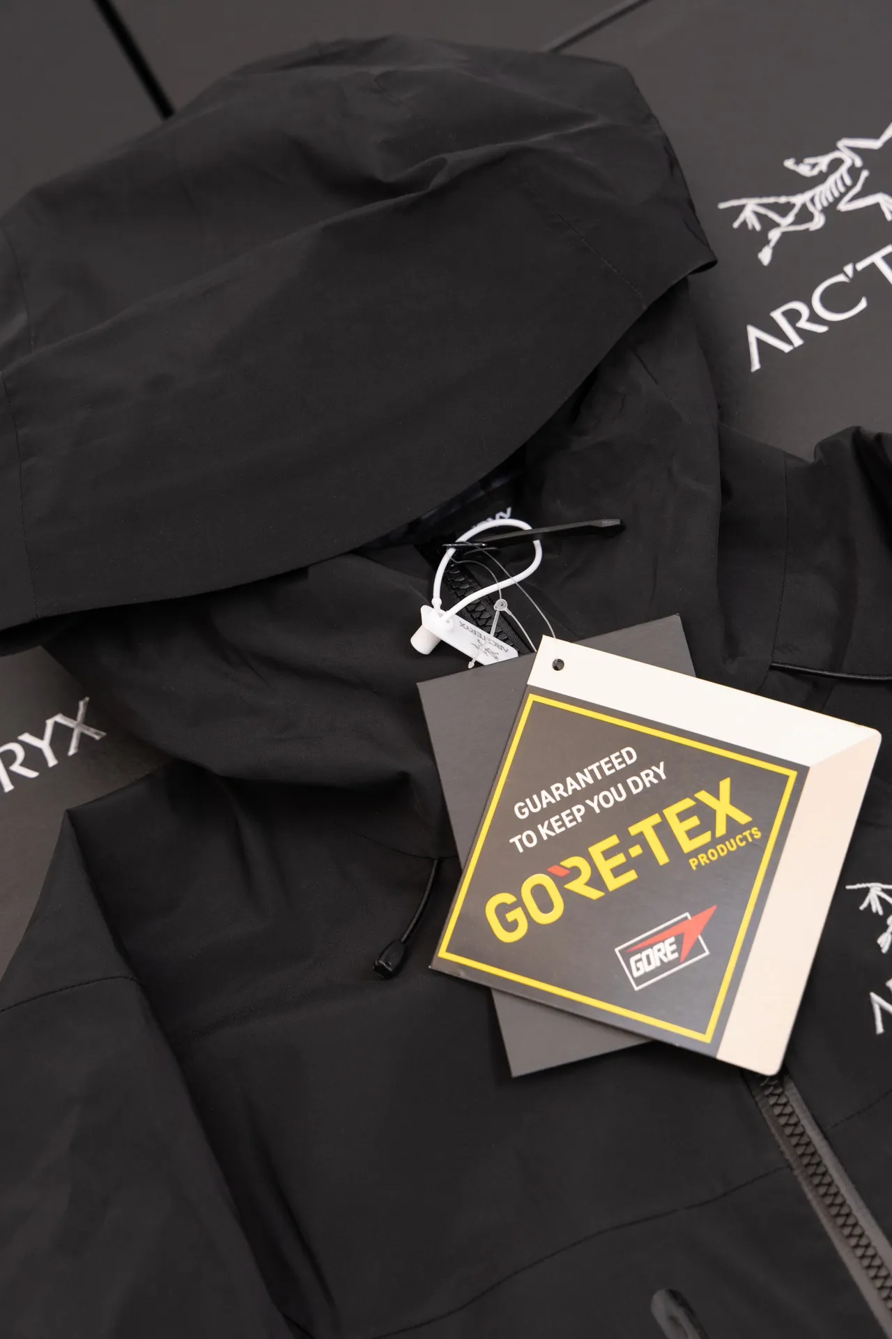 Alpha SV GORE-TEX Hooded Shell Jacket D34020794 — view 9