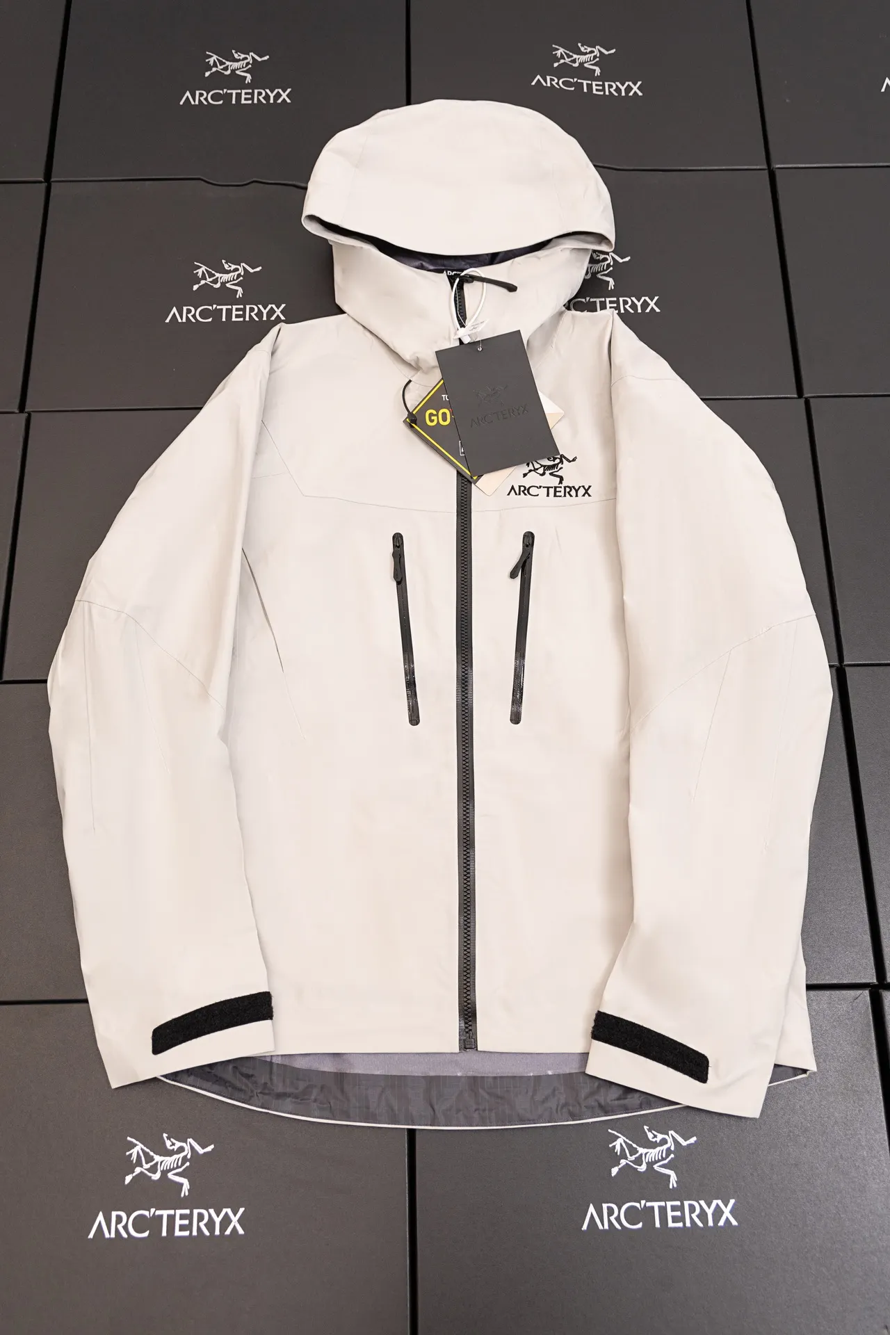 Alpha SV GORE-TEX Hooded Shell Jacket D34020791