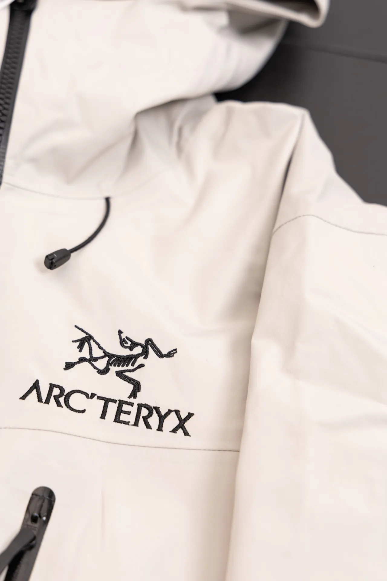 Alpha SV GORE-TEX Hooded Shell Jacket D34020791 — view 4