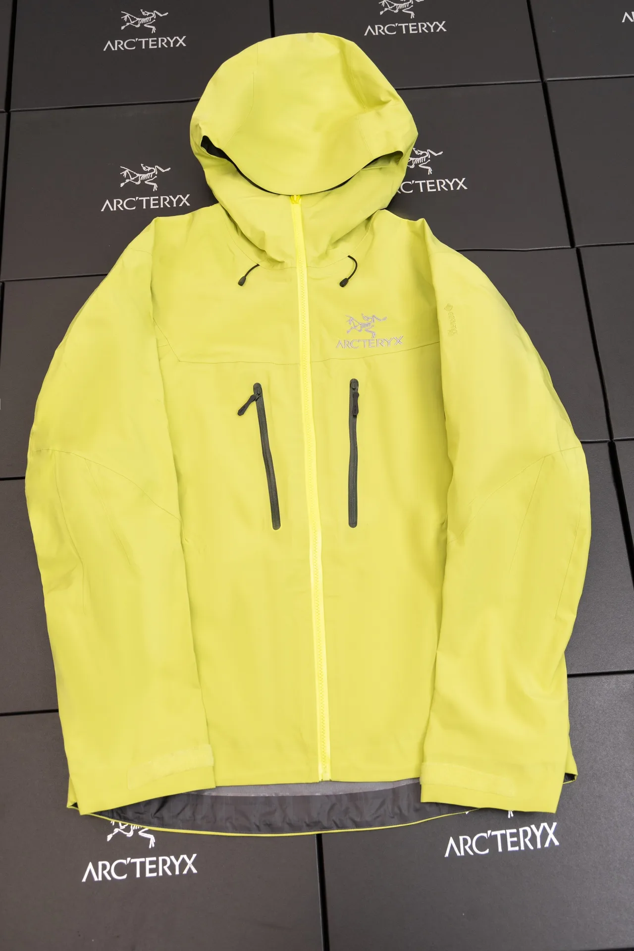 Alpha SV GORE-TEX Hooded Shell Jacket D34020790